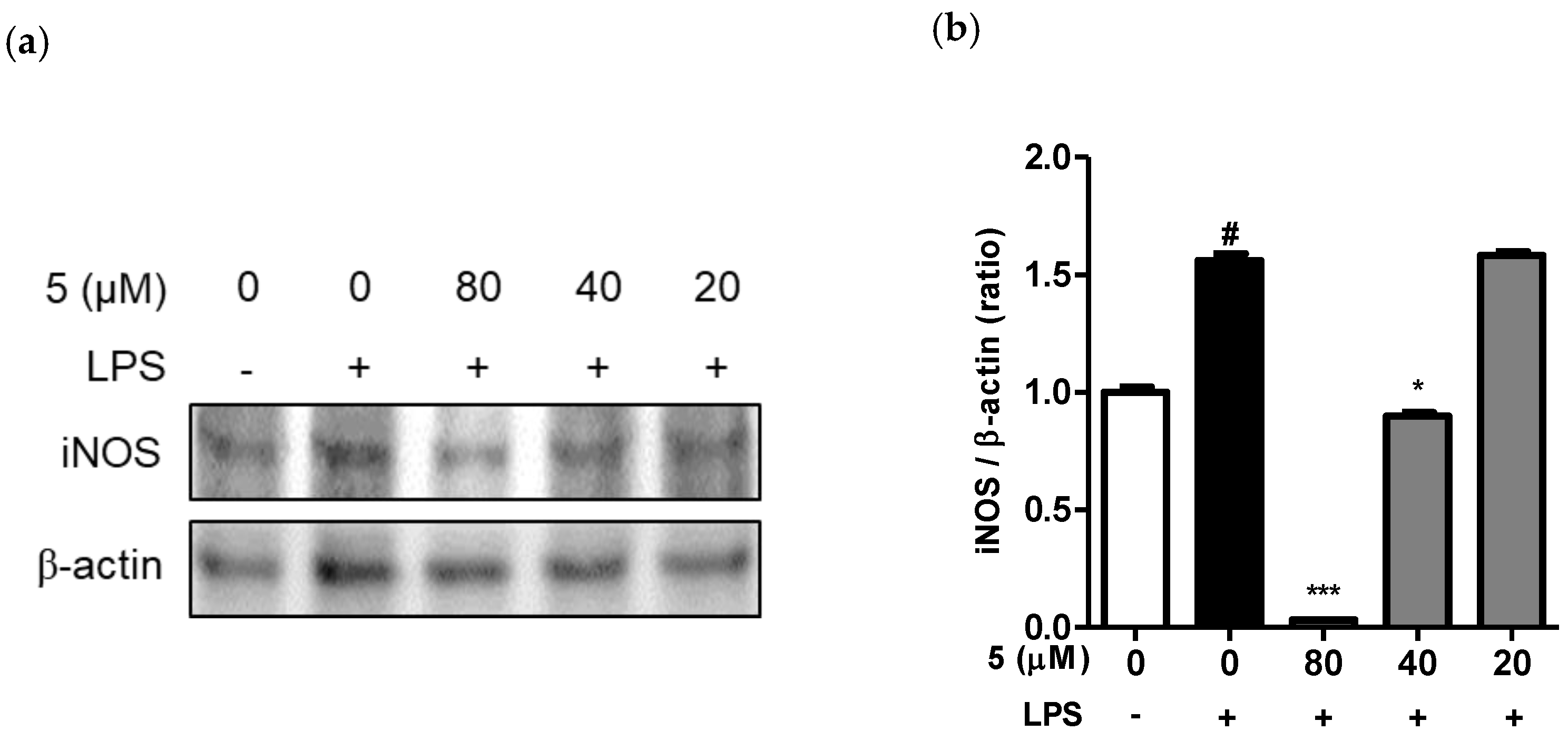 Ijms 24 02066 g006 Ijms 24 02066 g006