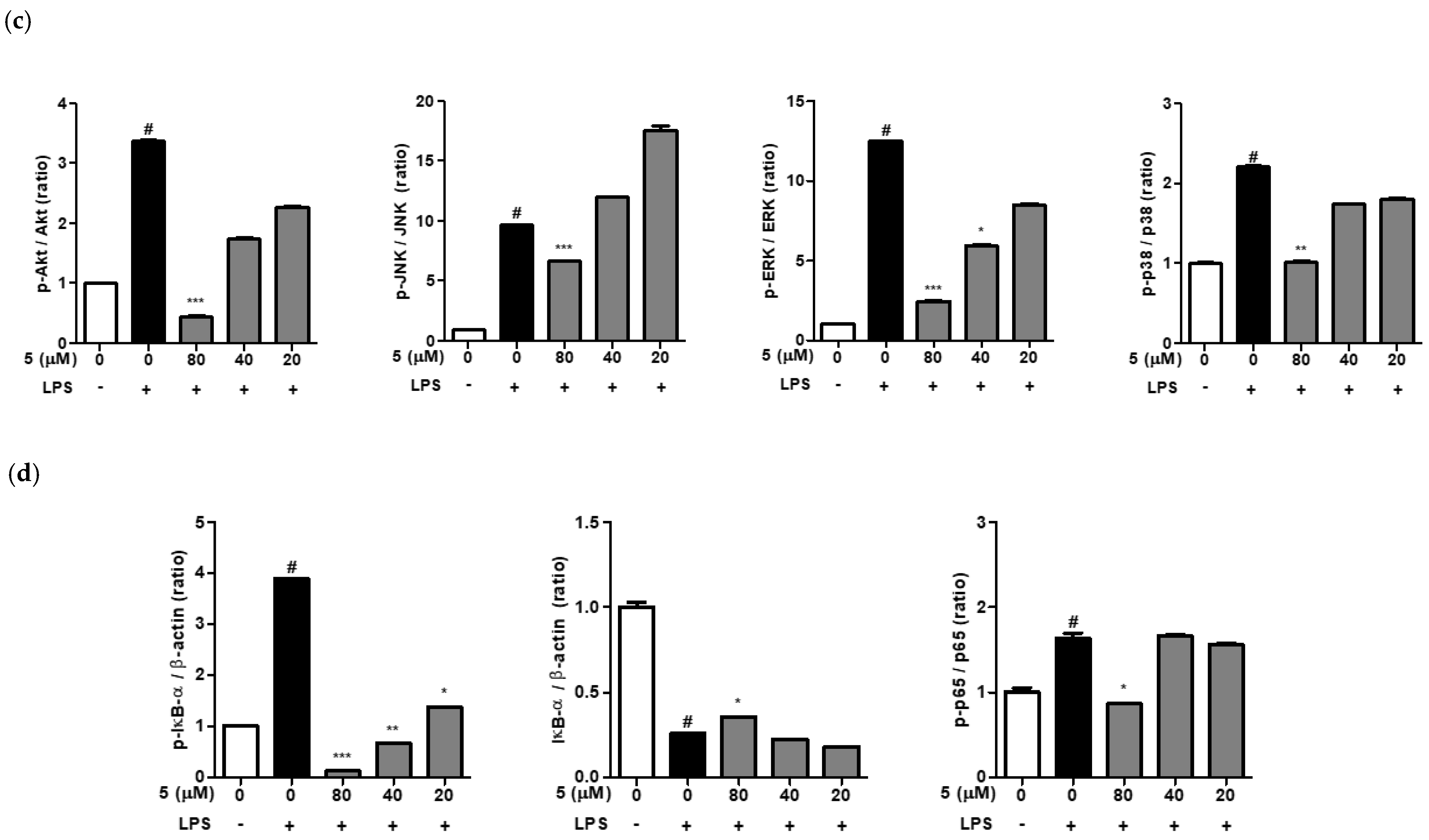 Ijms 24 02066 g007b Ijms 24 02066 g007b