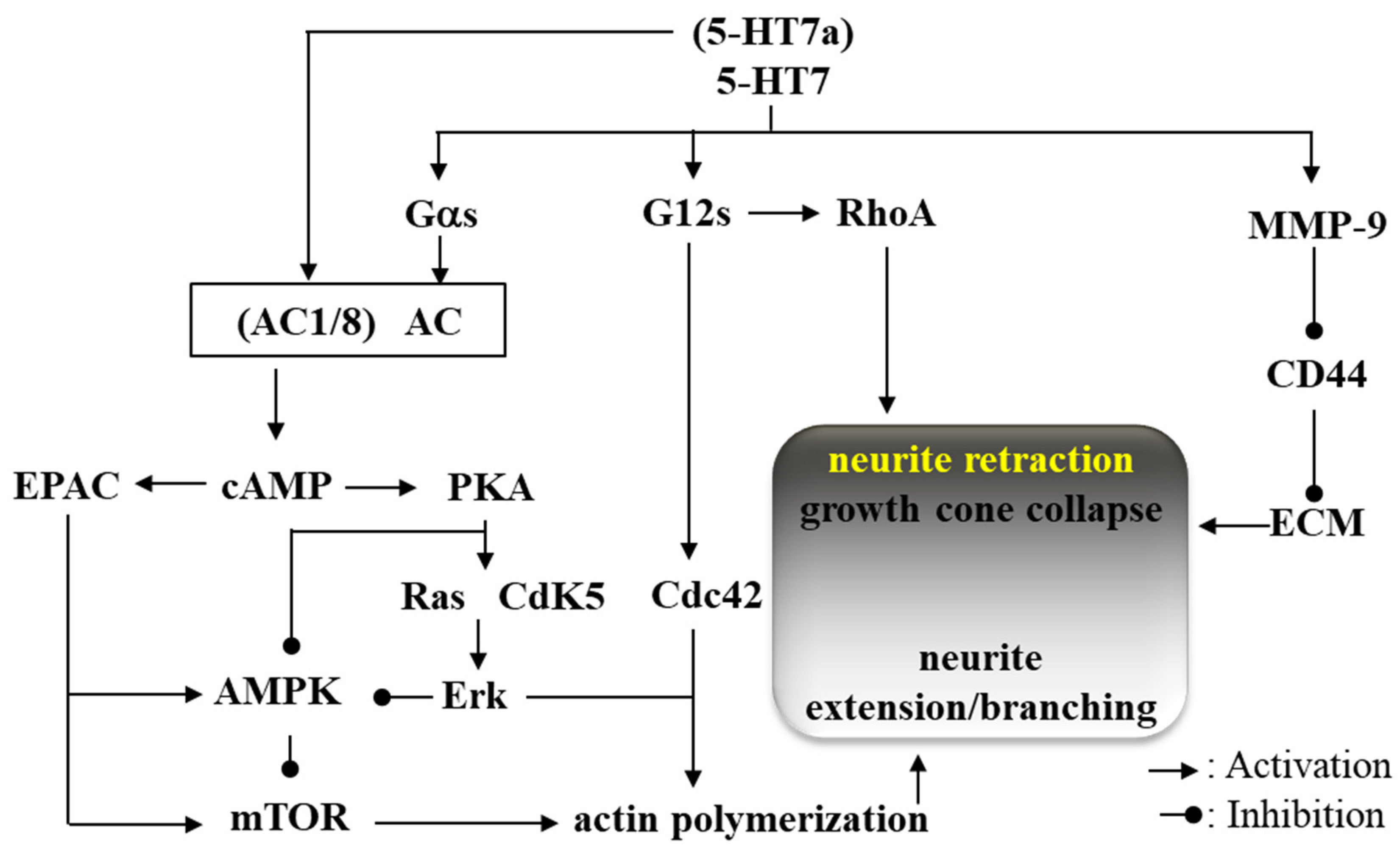 Ijms 24 02070 g001 Ijms 24 02070 g001