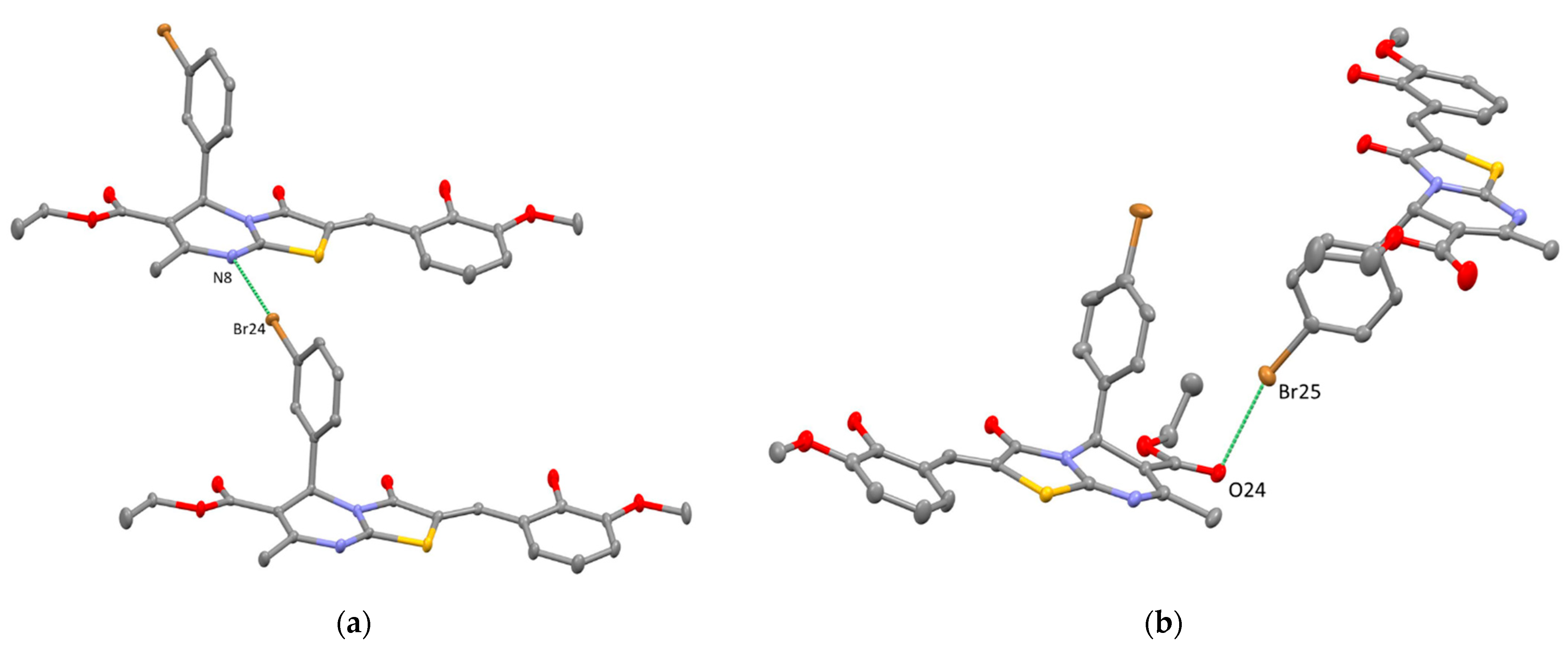 Ijms 24 02084 g007 Ijms 24 02084 g007