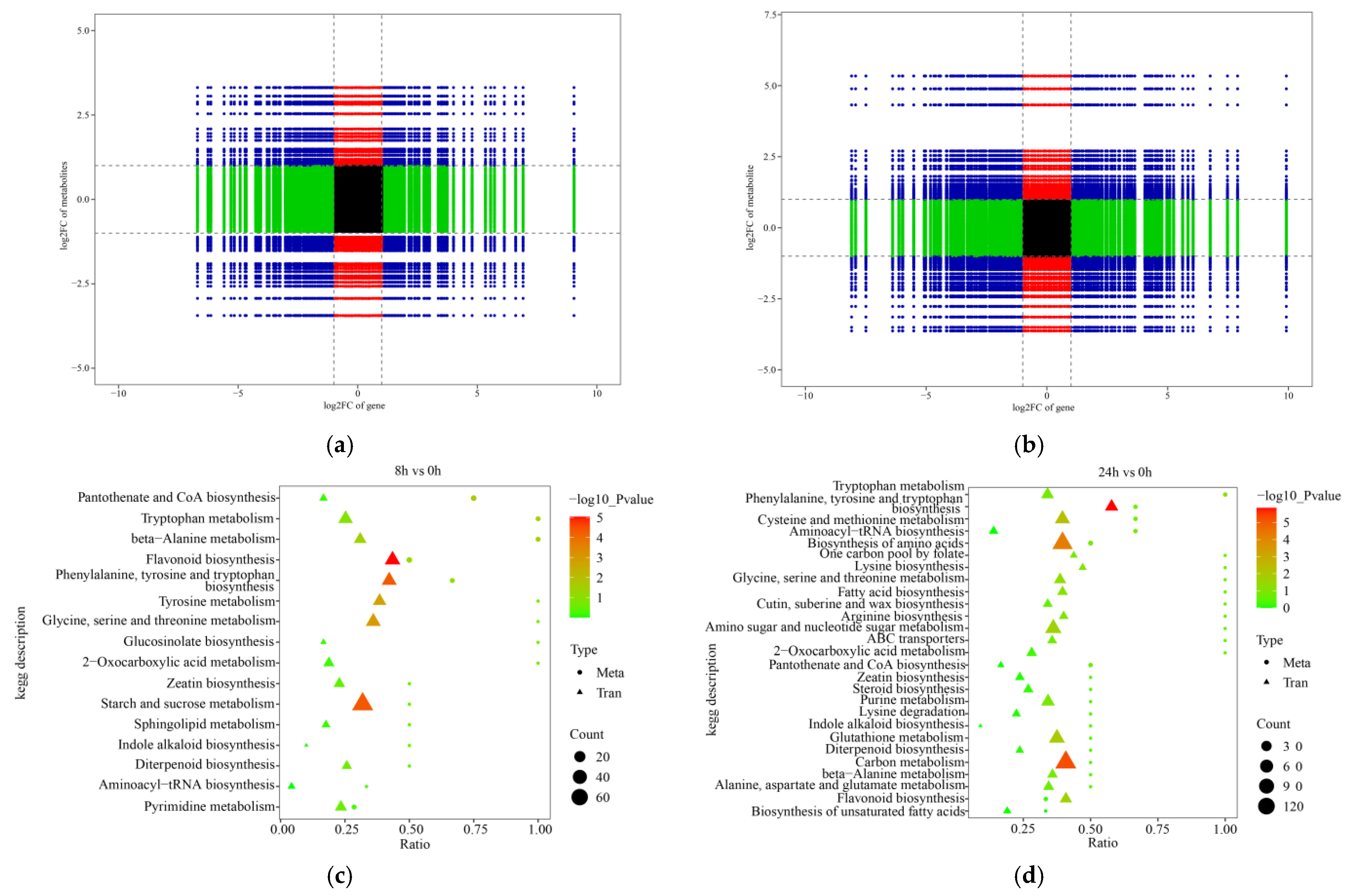 Ijms 24 02089 g007 Ijms 24 02089 g007