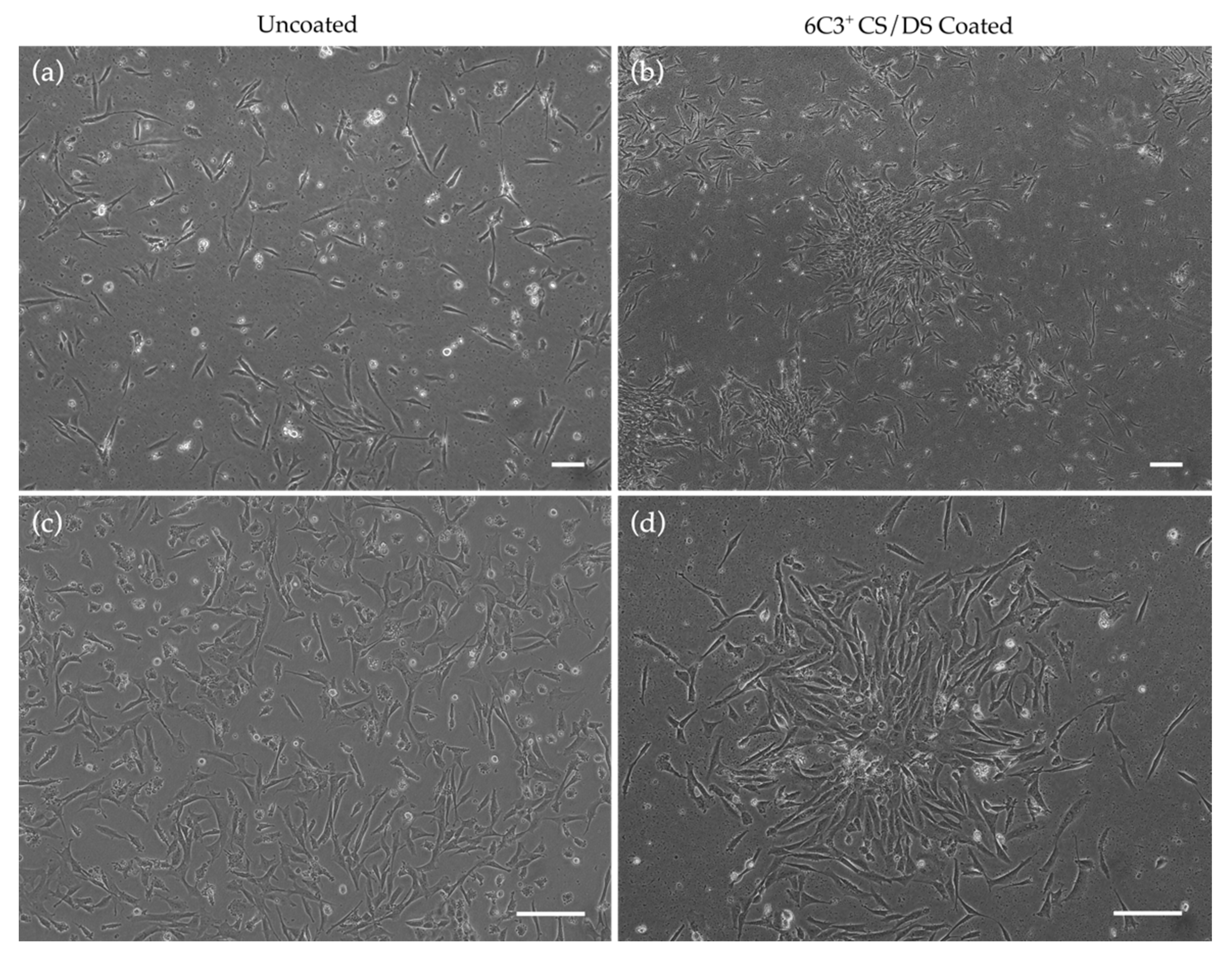 Ijms 24 02095 g002 Ijms 24 02095 g002