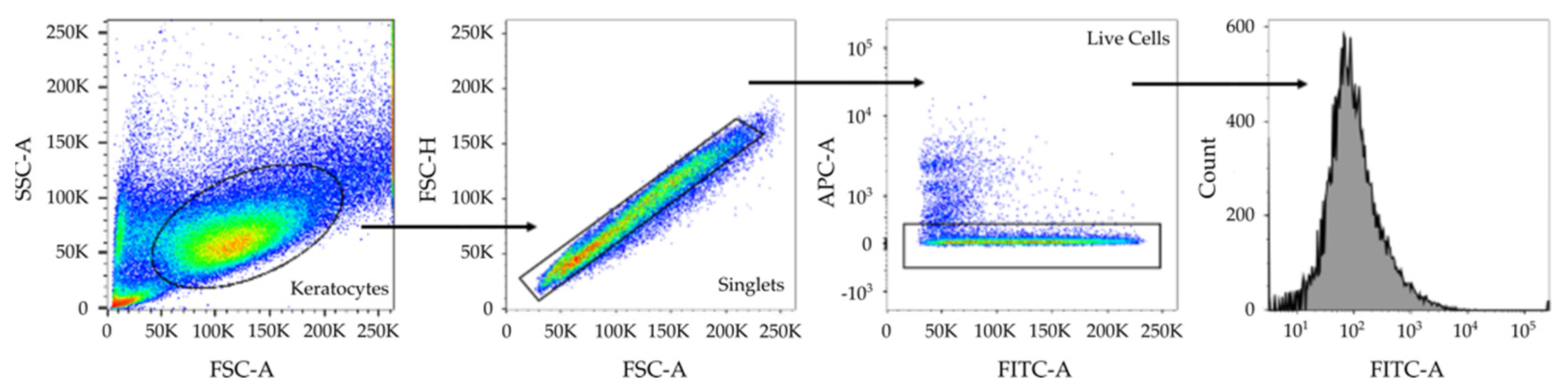 Ijms 24 02095 g004 Ijms 24 02095 g004