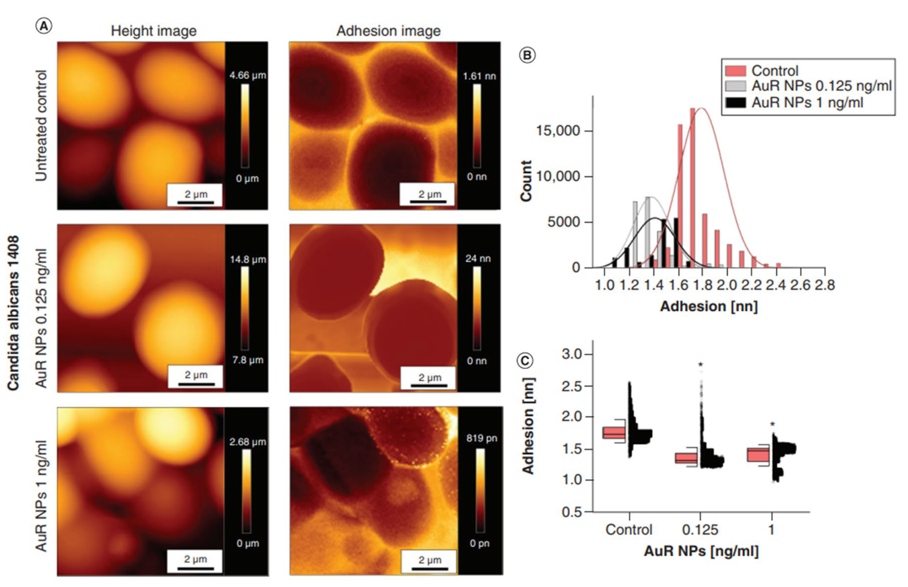 Ijms 24 02104 g003 Ijms 24 02104 g003
