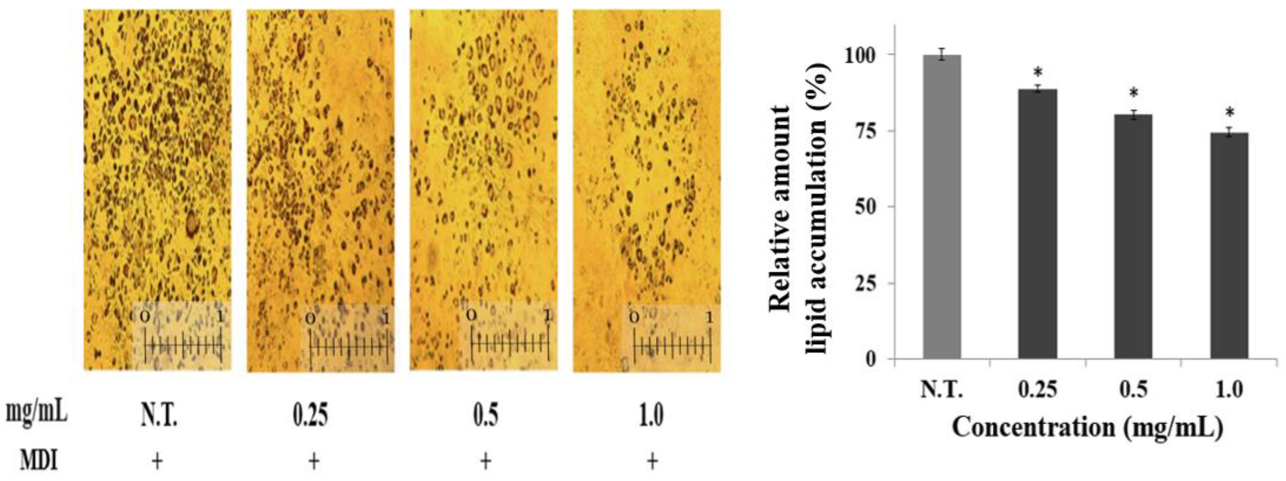 Ijms 24 02108 g002 Ijms 24 02108 g002