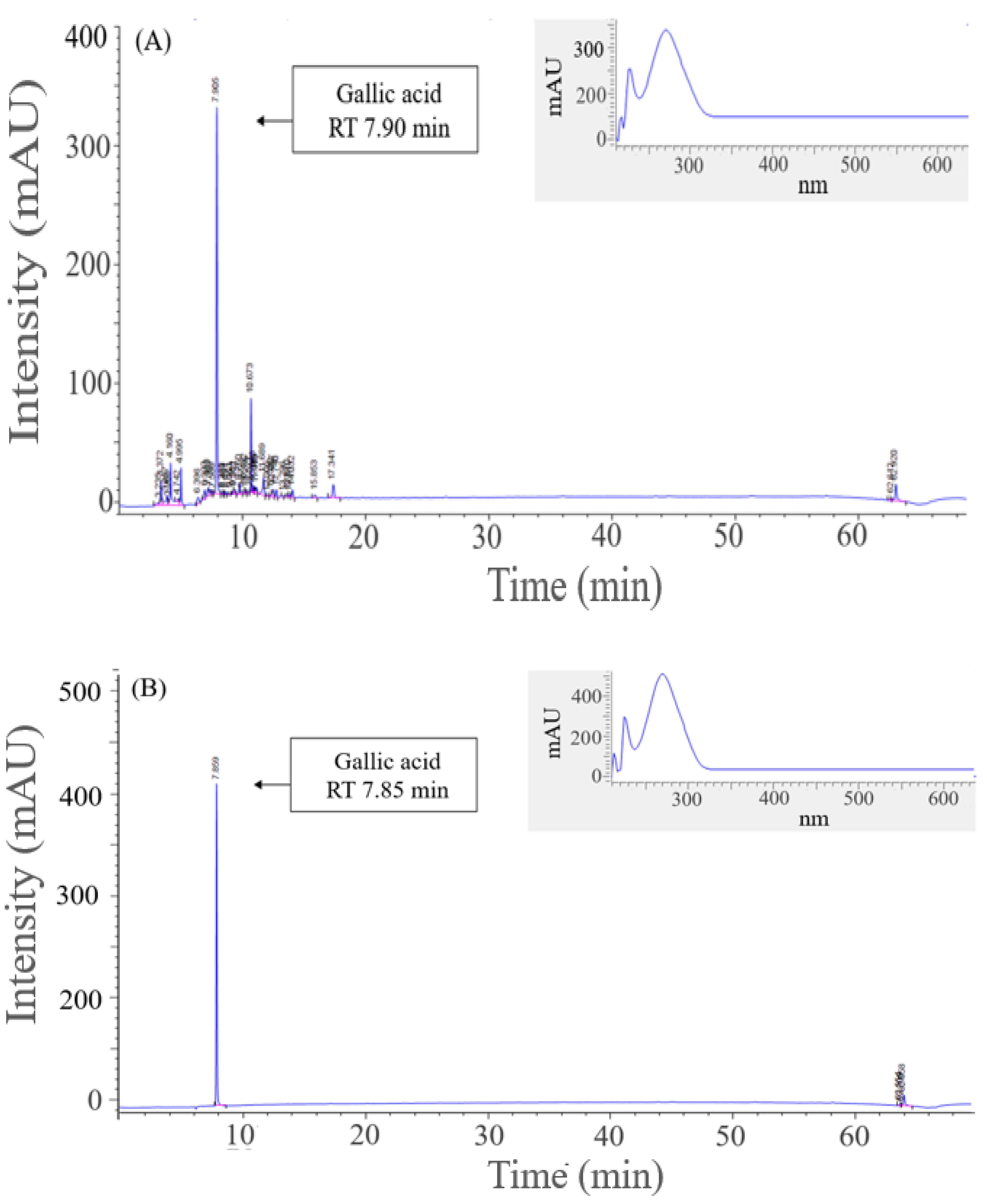 Ijms 24 02108 g005 Ijms 24 02108 g005