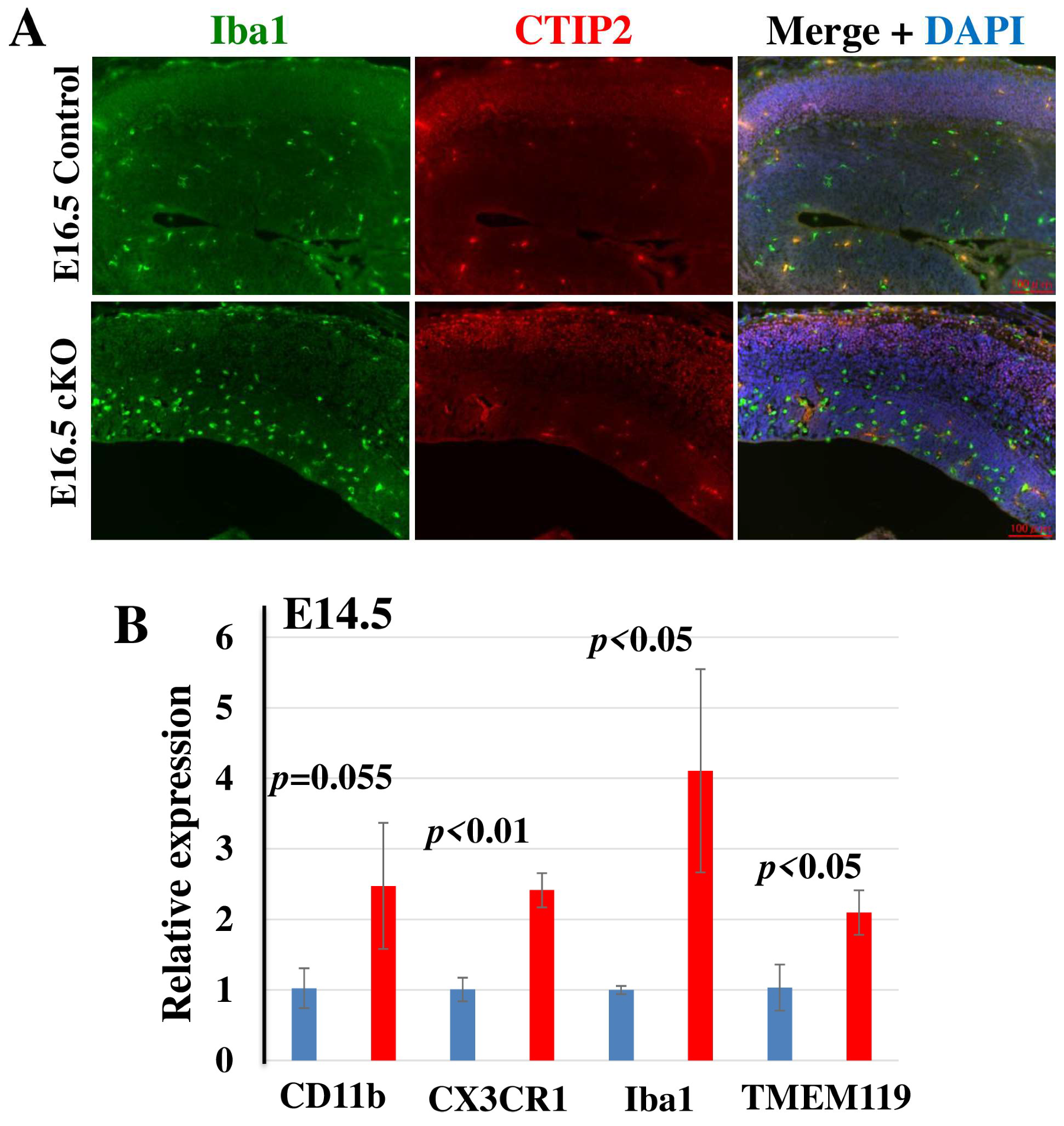 Ijms 24 02113 g005 Ijms 24 02113 g005