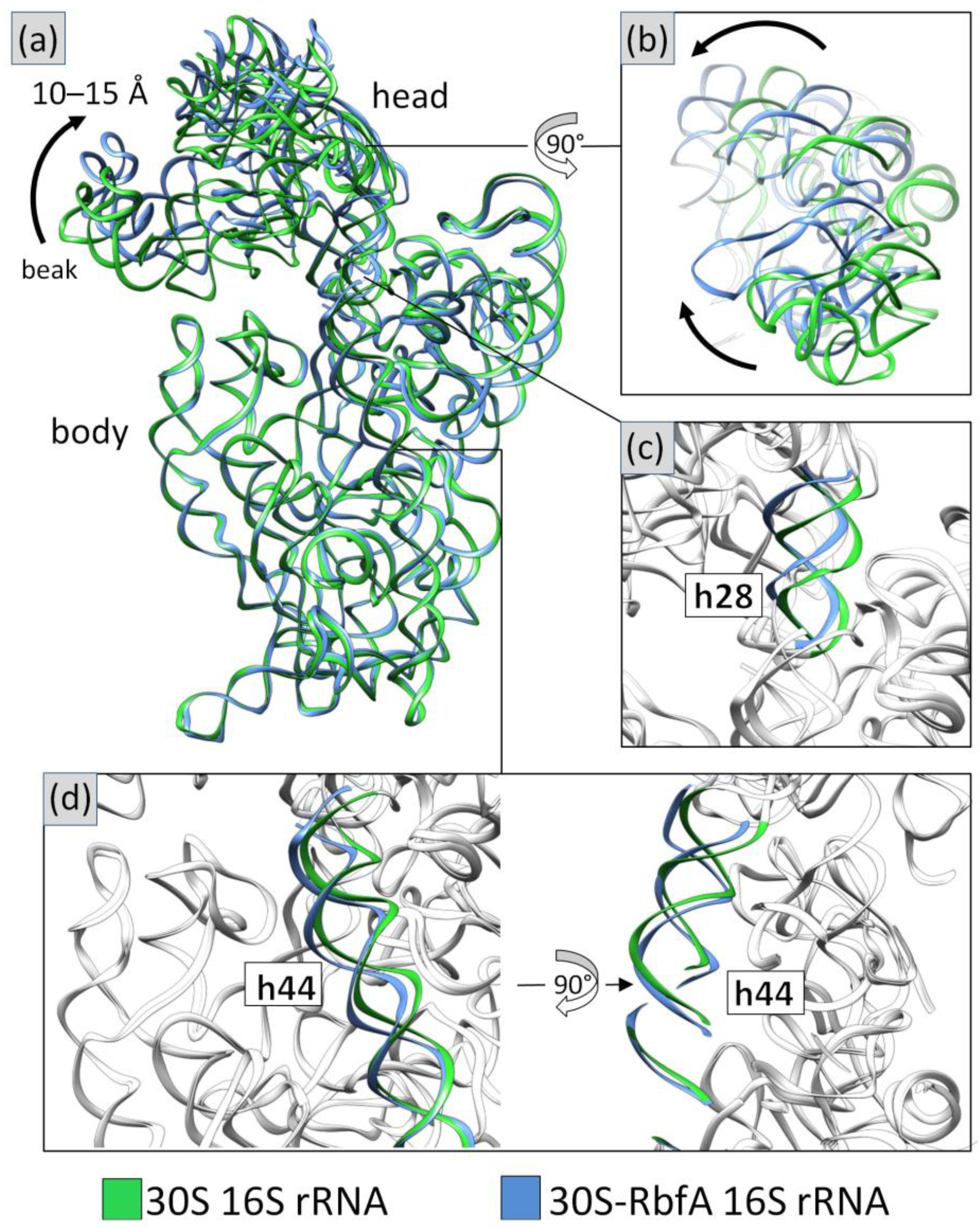 Ijms 24 02118 g003 Ijms 24 02118 g003