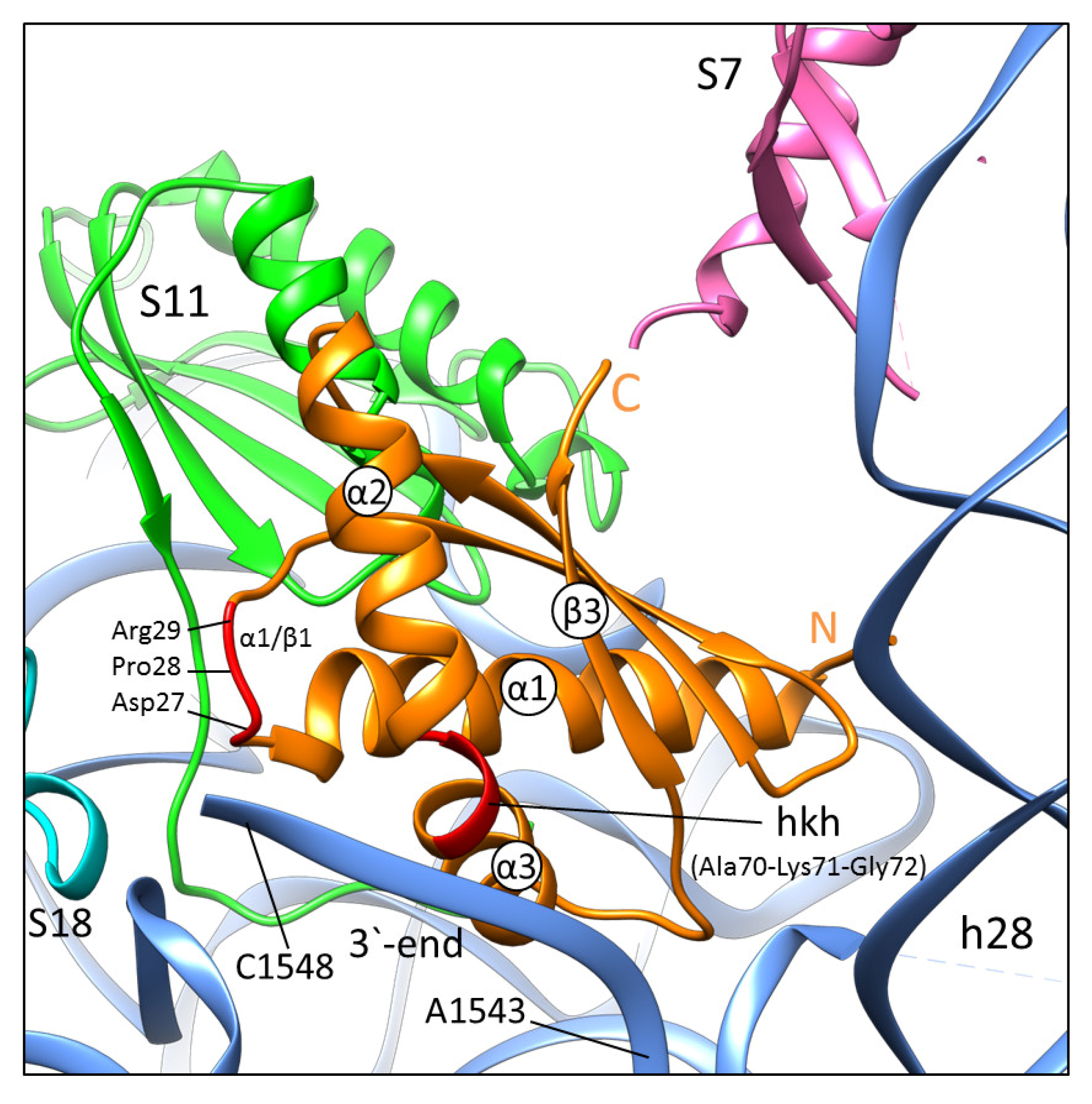 Ijms 24 02118 g004 Ijms 24 02118 g004