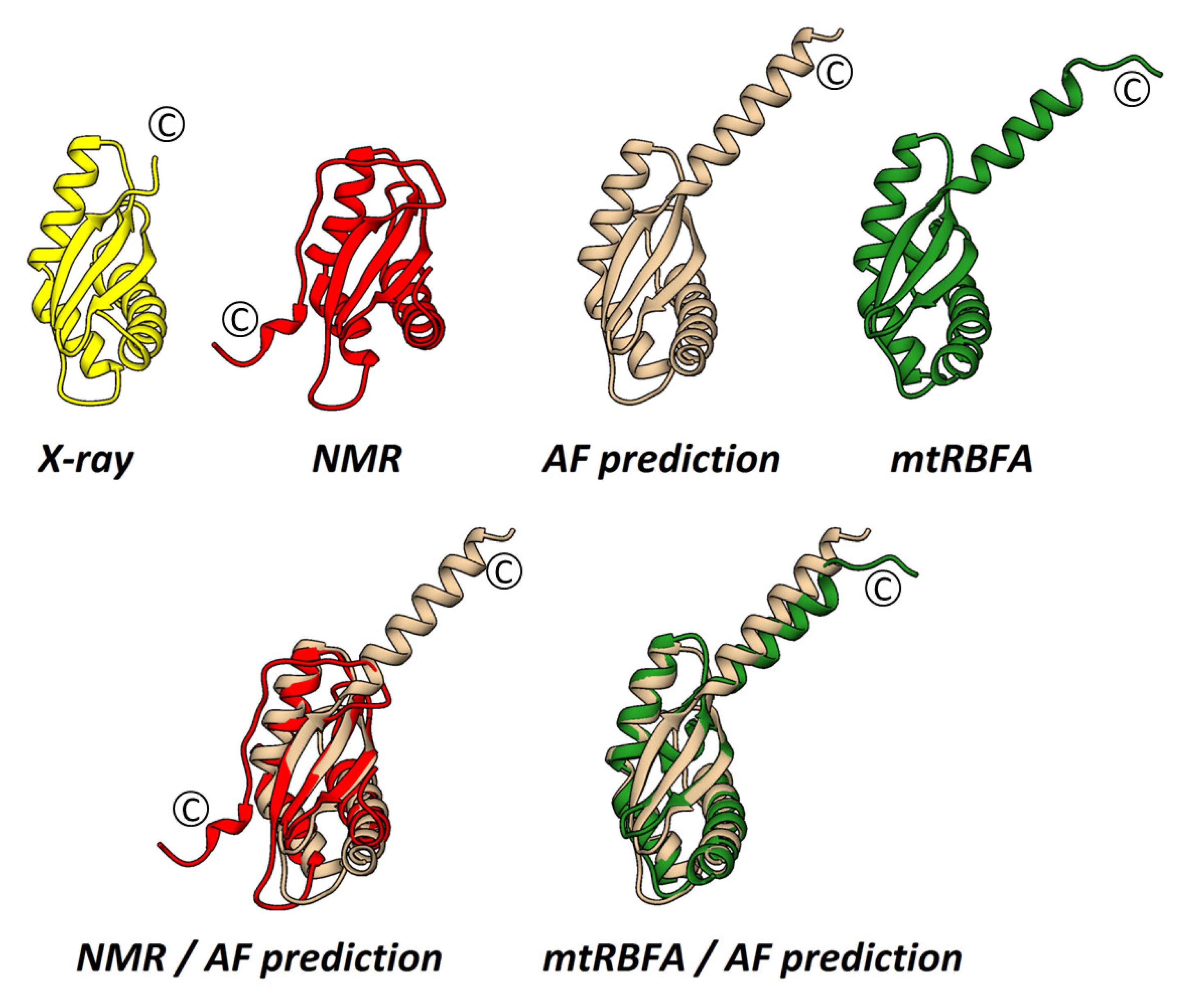 Ijms 24 02118 g005 Ijms 24 02118 g005