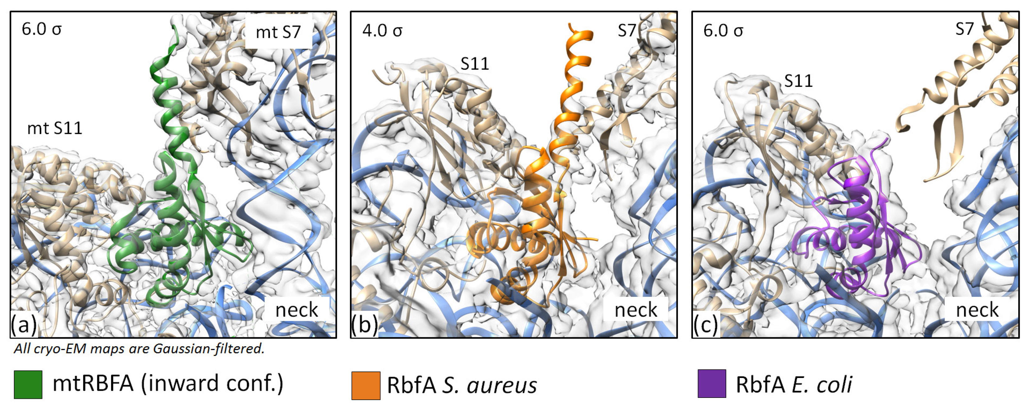 Ijms 24 02118 g007 Ijms 24 02118 g007