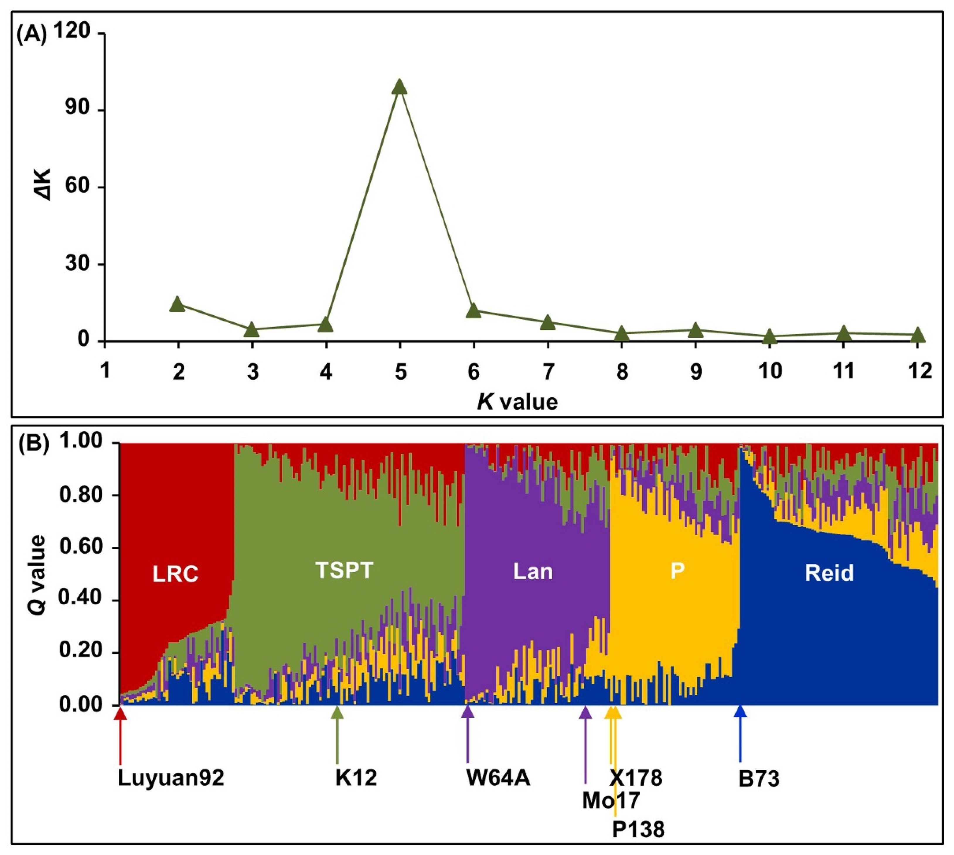 Ijms 24 02138 g002 Ijms 24 02138 g002