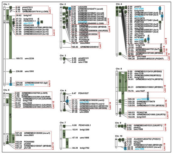 Genetic Variation, DIMBOA Accumulation, and Candidate Gene