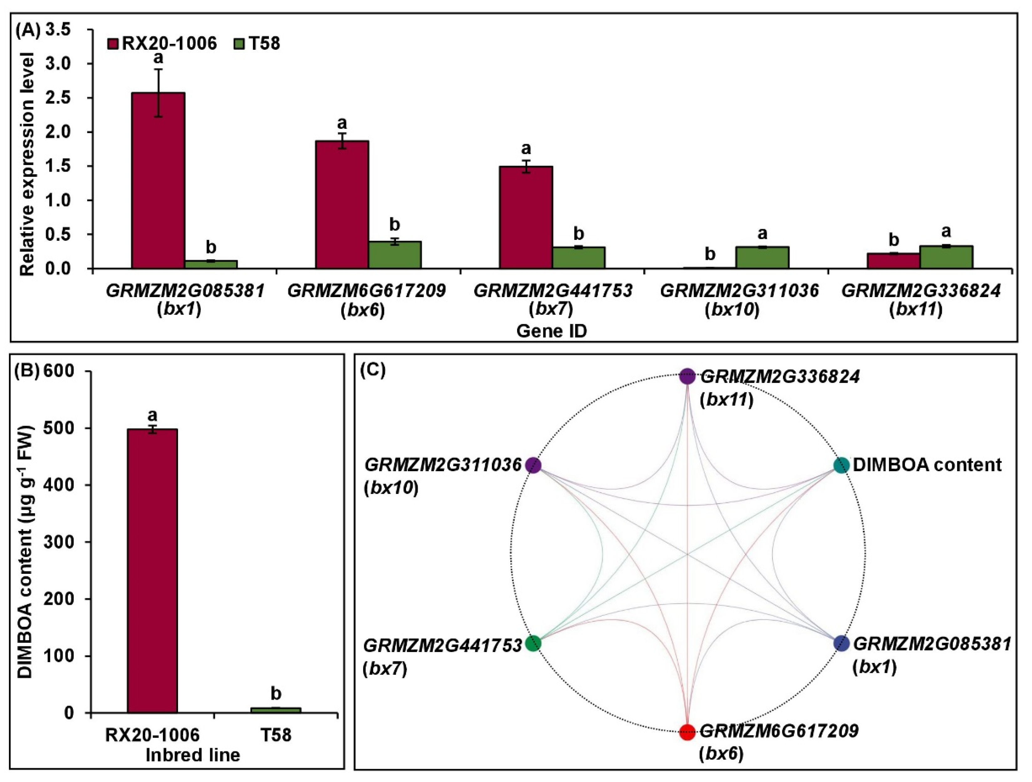 Ijms 24 02138 g006 Ijms 24 02138 g006
