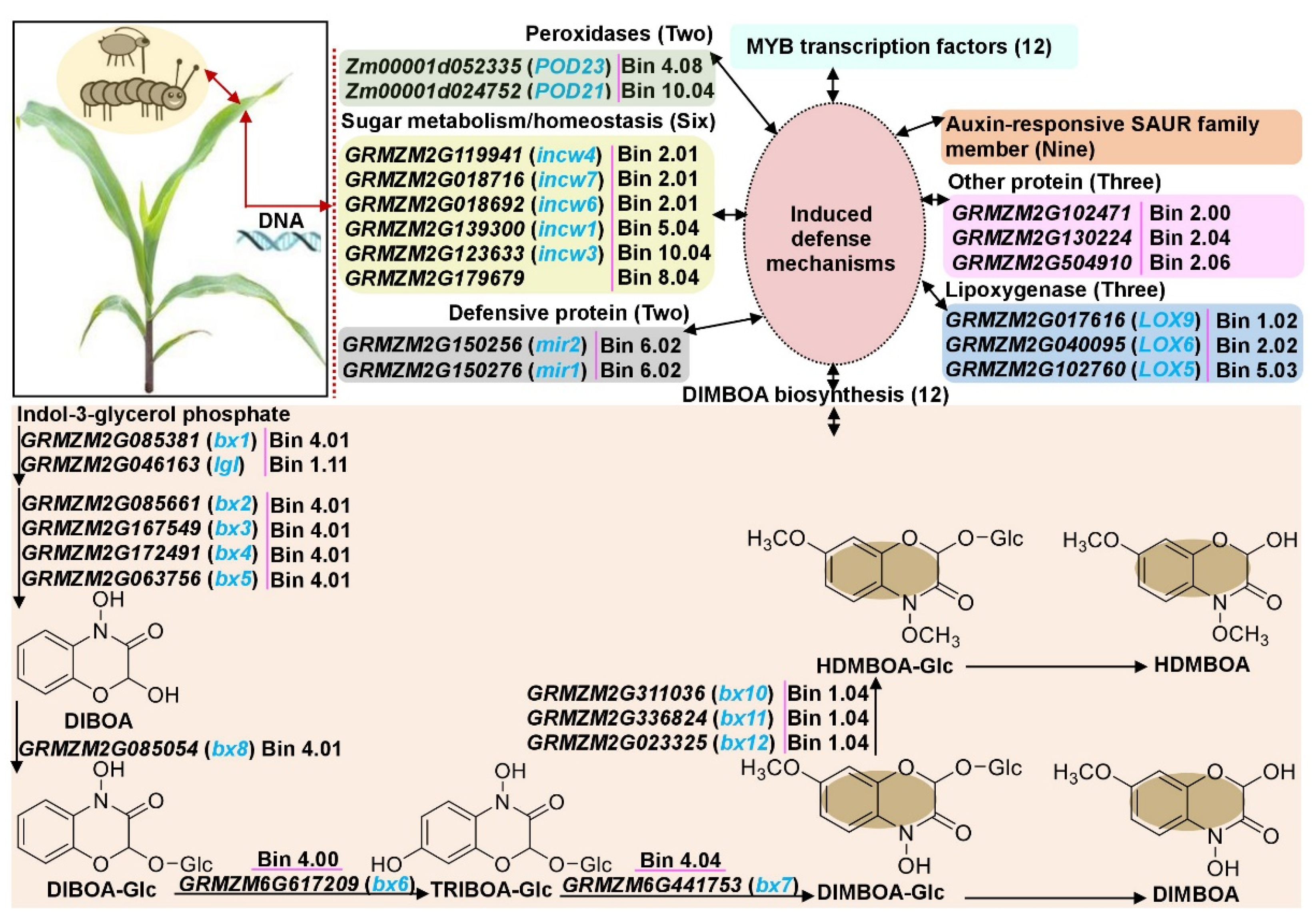 Ijms 24 02138 g007 Ijms 24 02138 g007