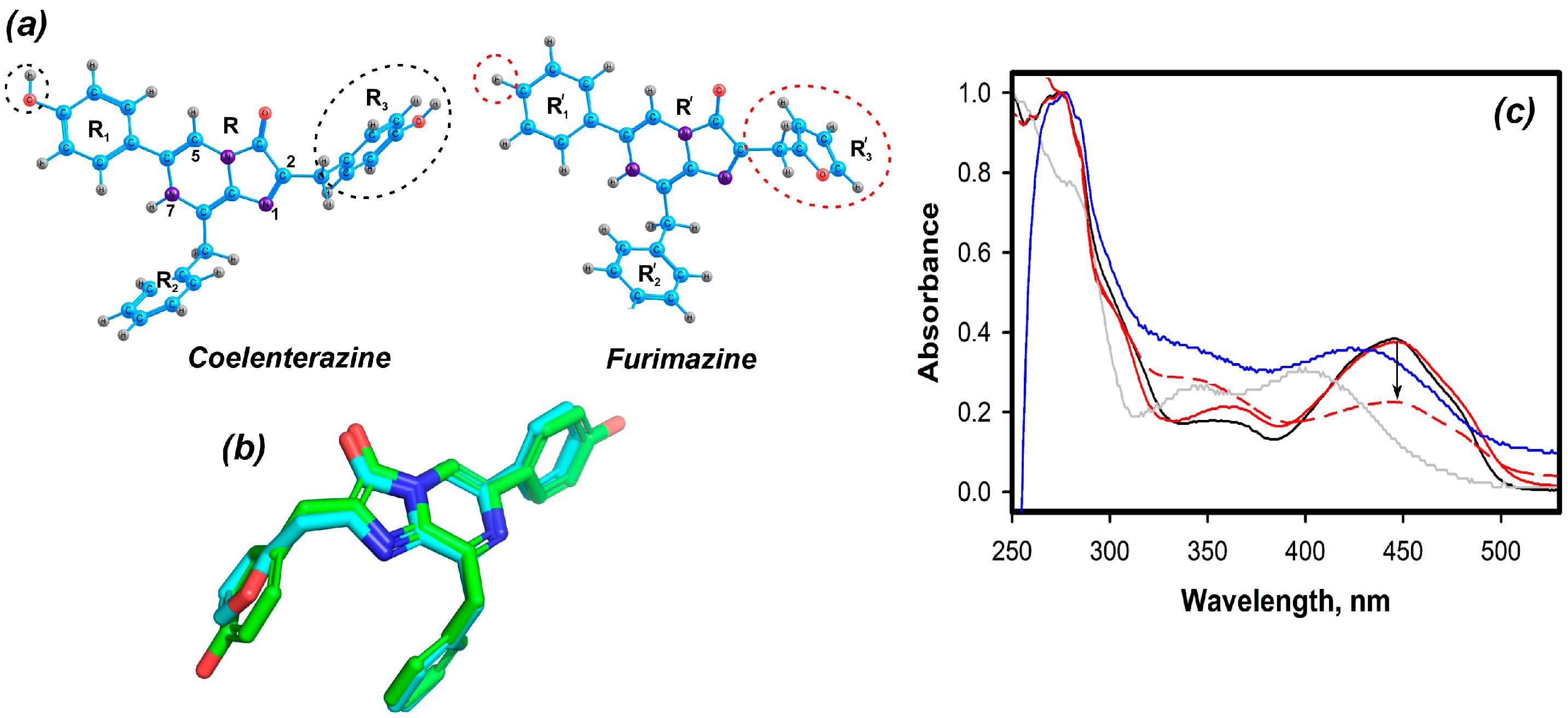 Ijms 24 02144 g001 Ijms 24 02144 g001
