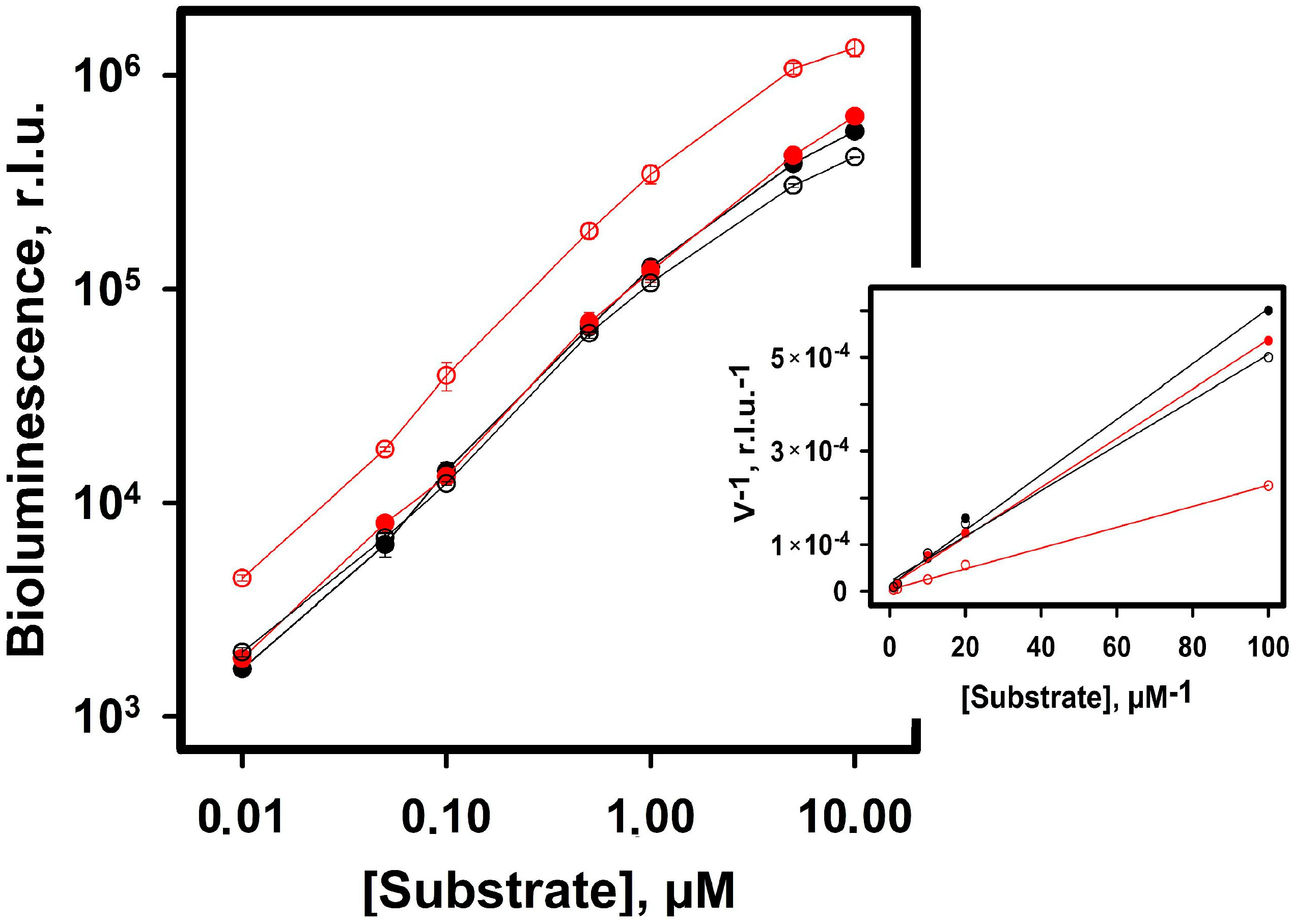 Ijms 24 02144 g004 Ijms 24 02144 g004