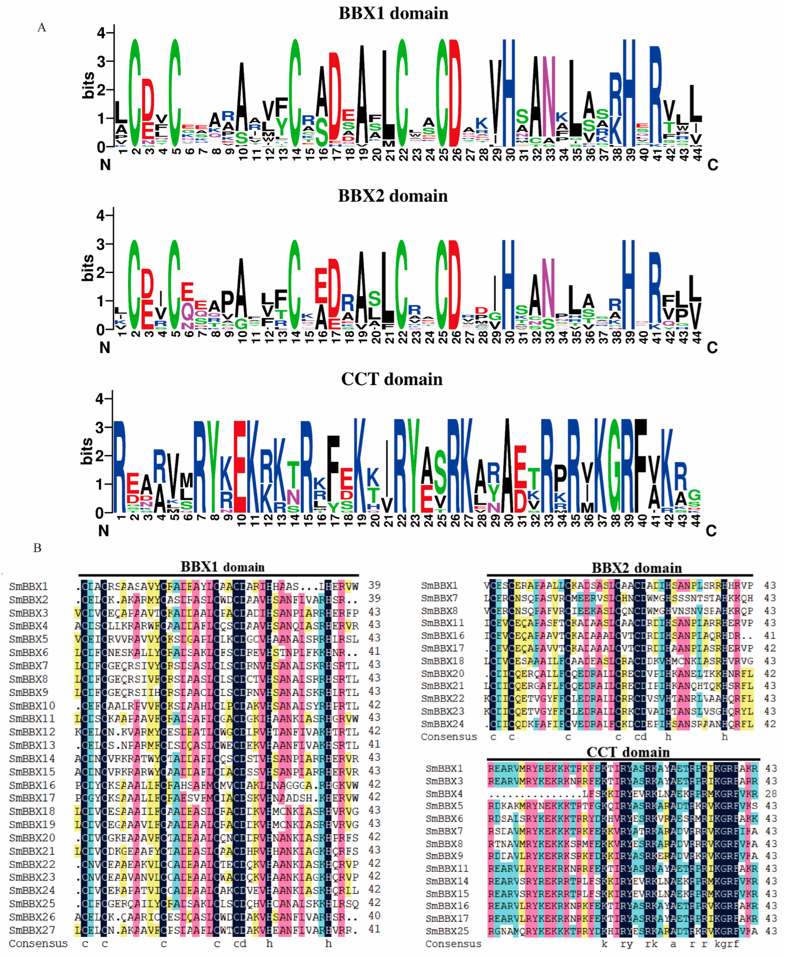 Ijms 24 02146 g001 Ijms 24 02146 g001