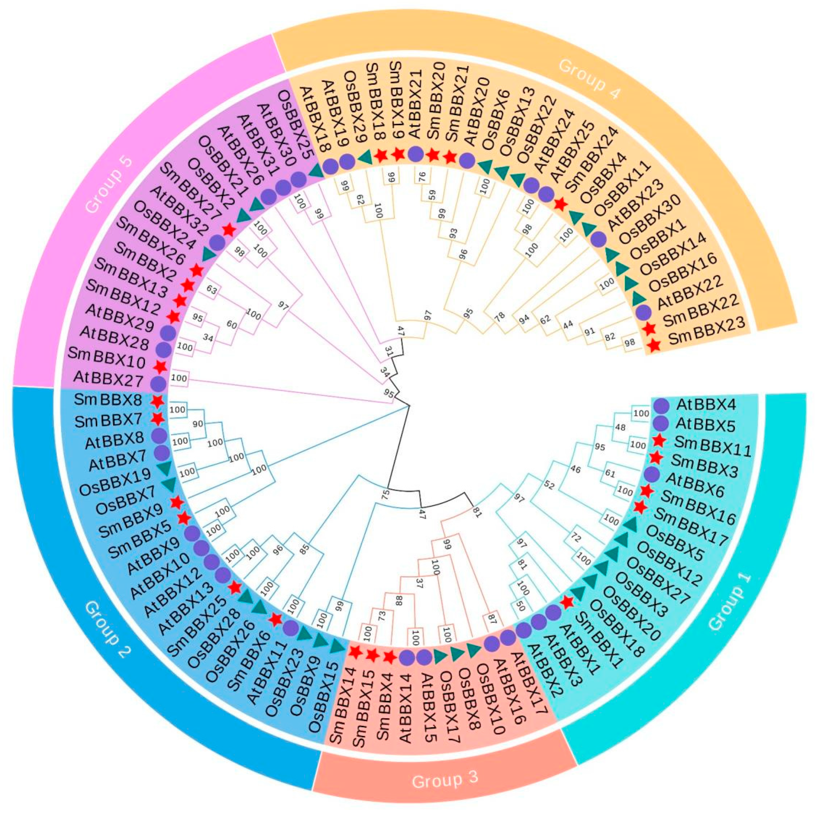 Ijms 24 02146 g002 Ijms 24 02146 g002