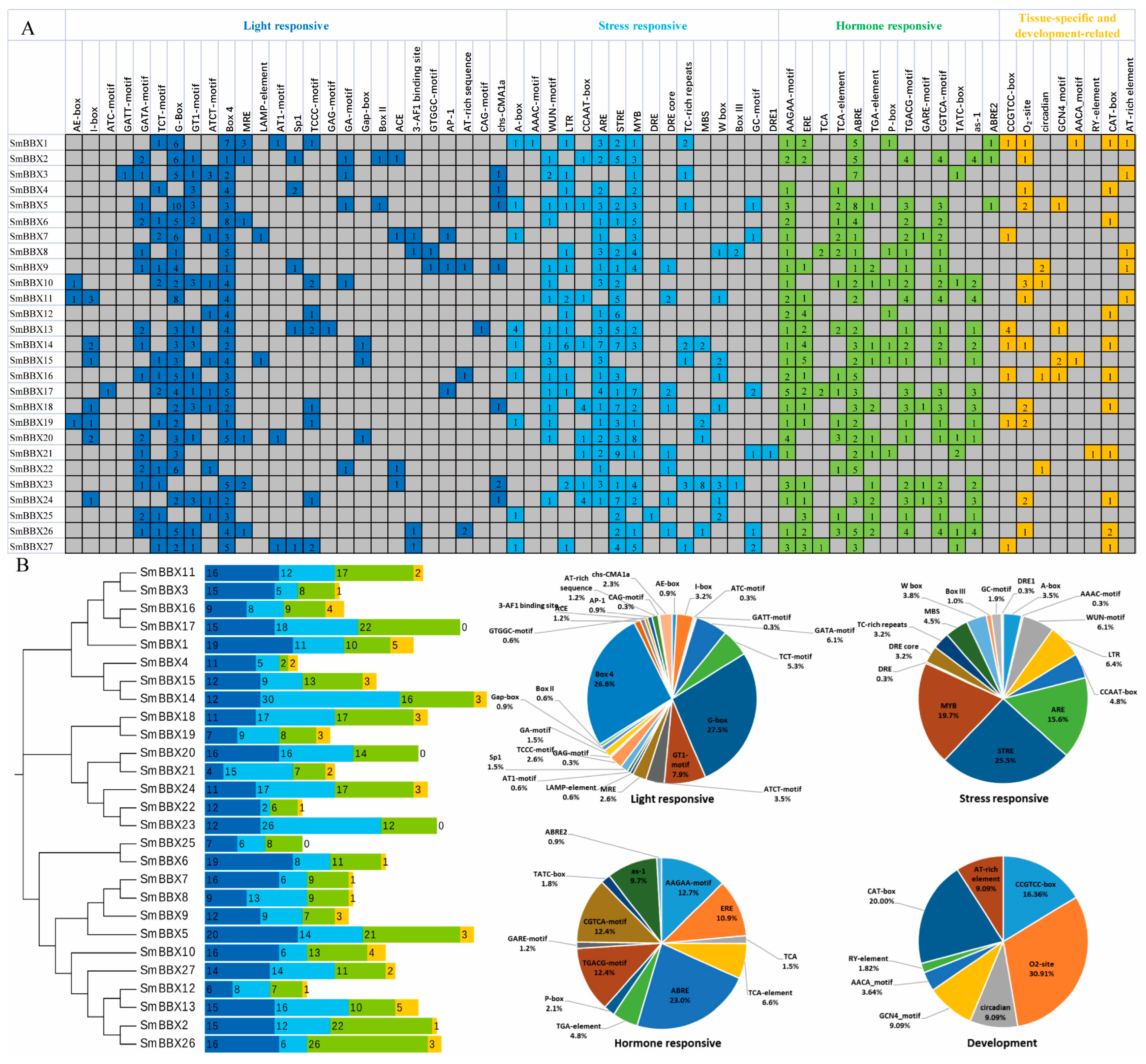 Ijms 24 02146 g003 Ijms 24 02146 g003