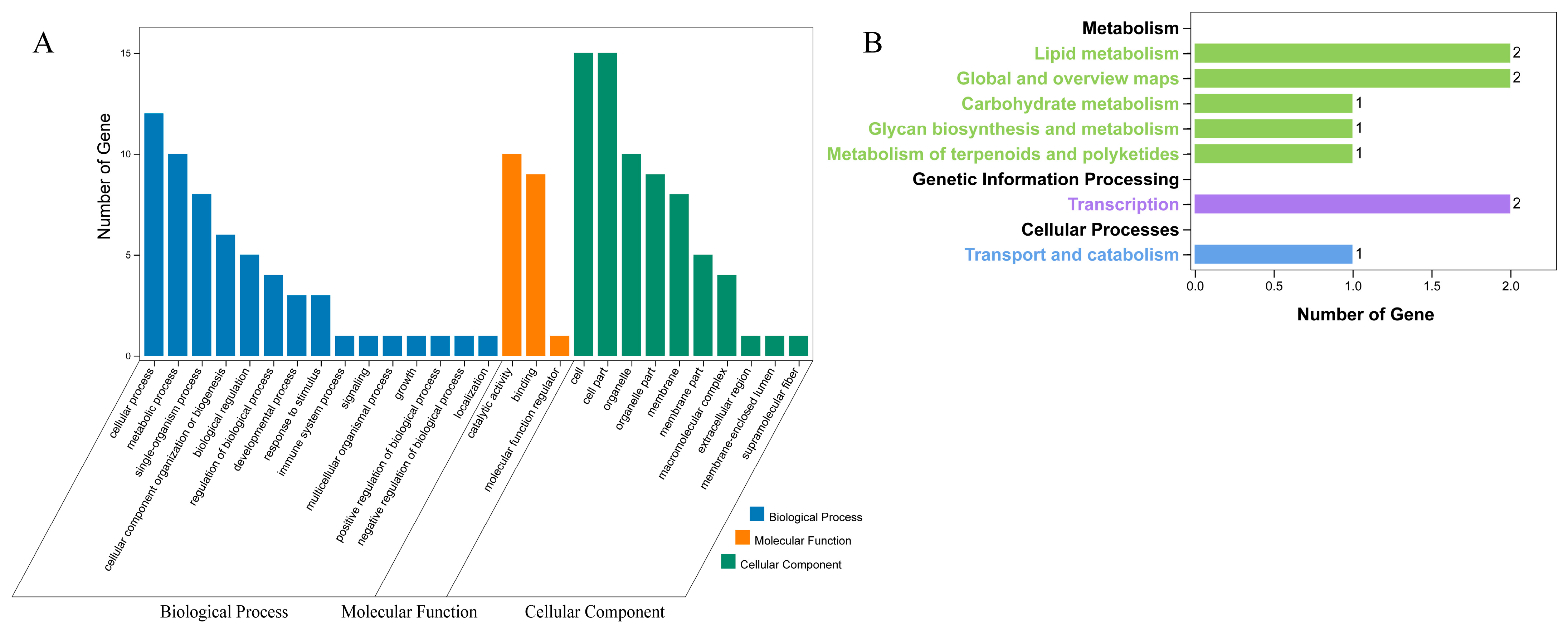 Ijms 24 02146 g006 Ijms 24 02146 g006