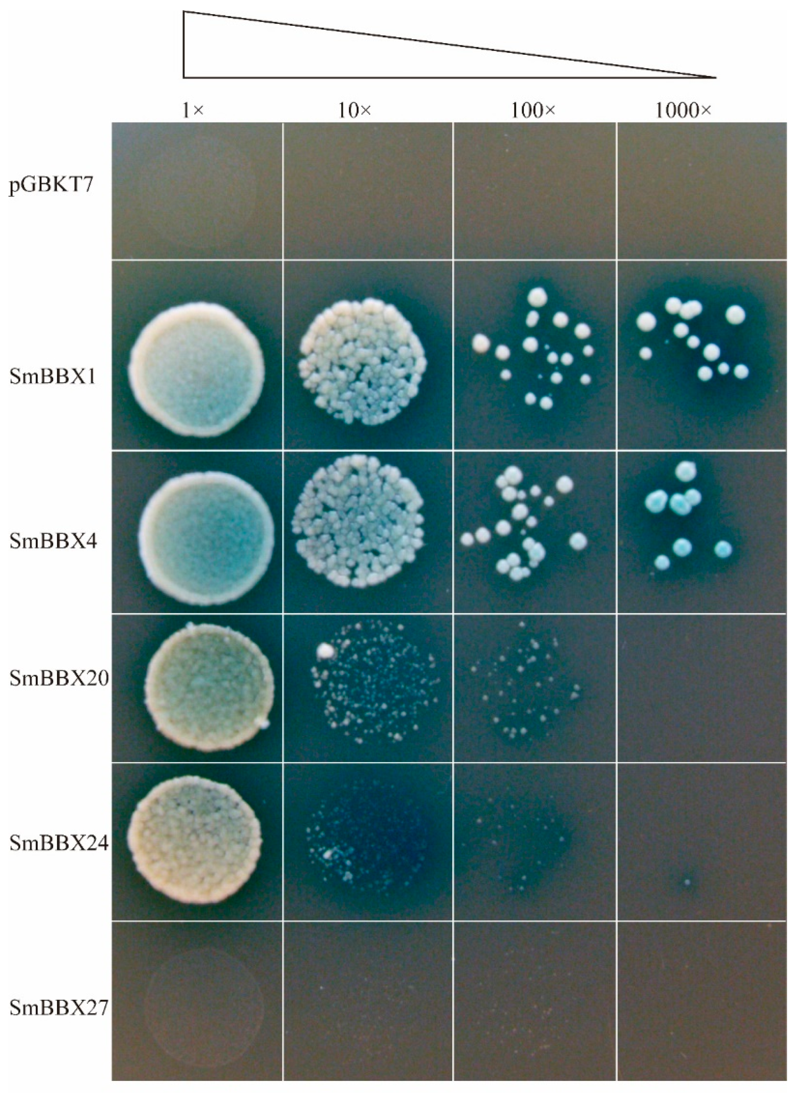 Ijms 24 02146 g008 Ijms 24 02146 g008