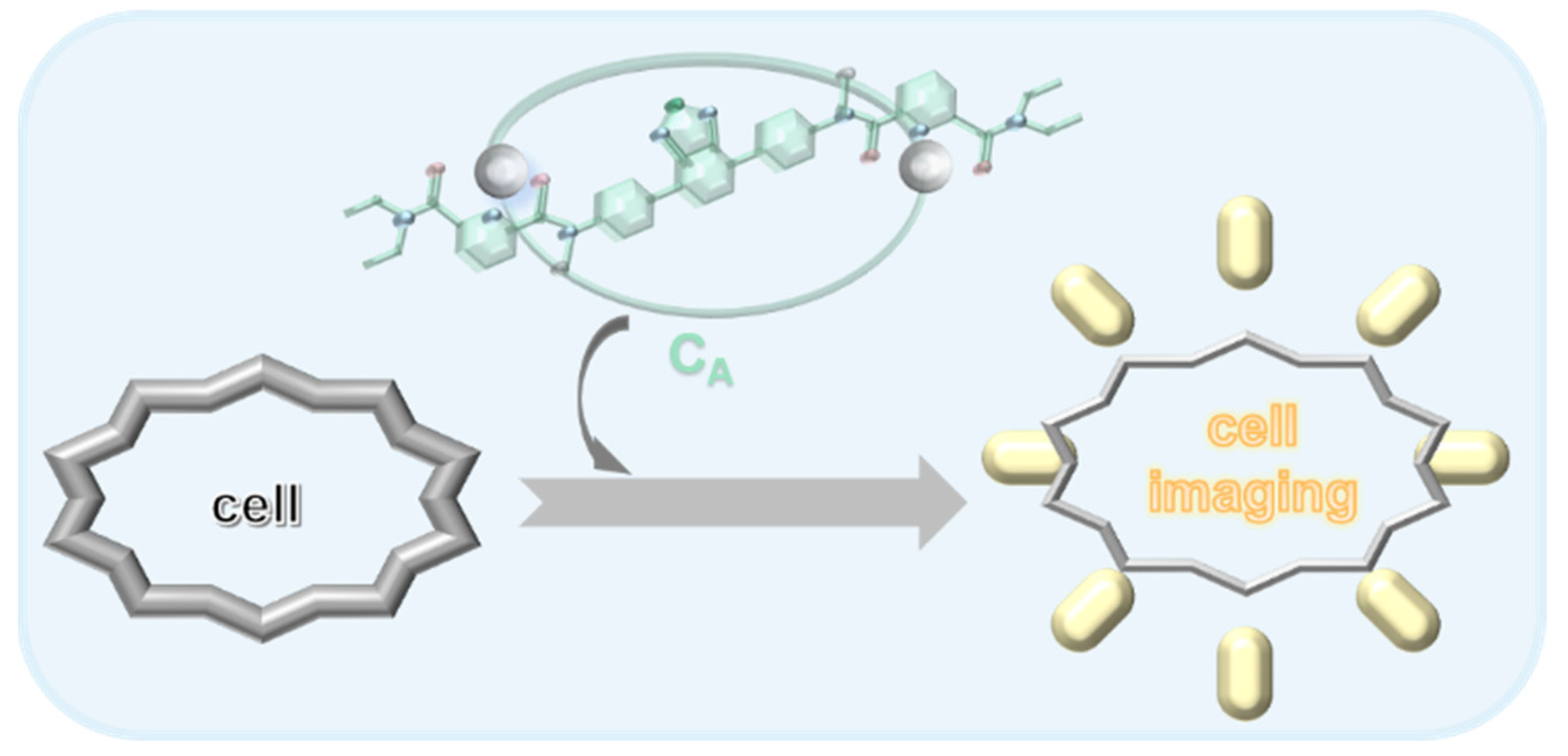 Ijms 24 02147 g001 Ijms 24 02147 g001