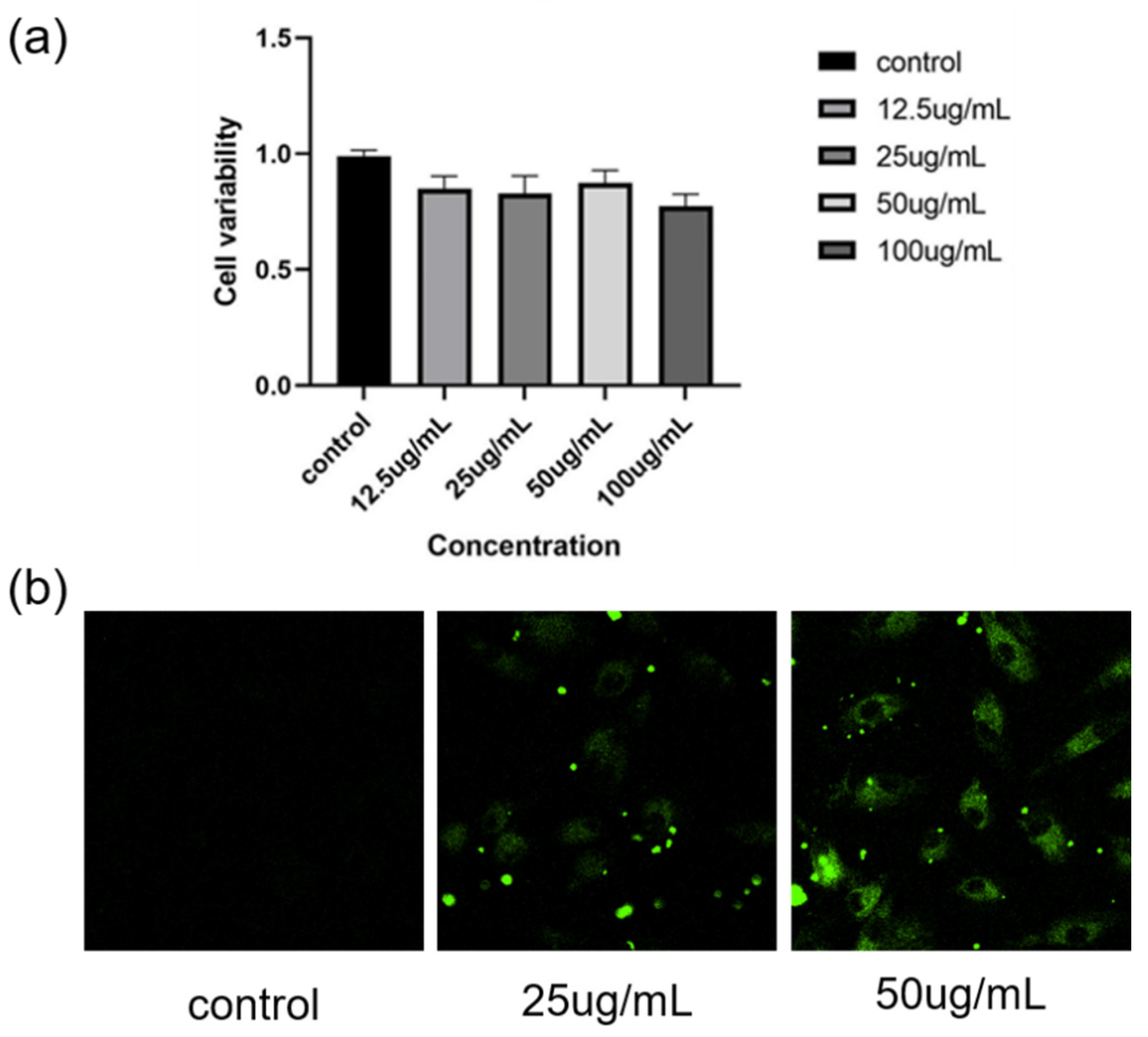 Ijms 24 02147 g005 Ijms 24 02147 g005