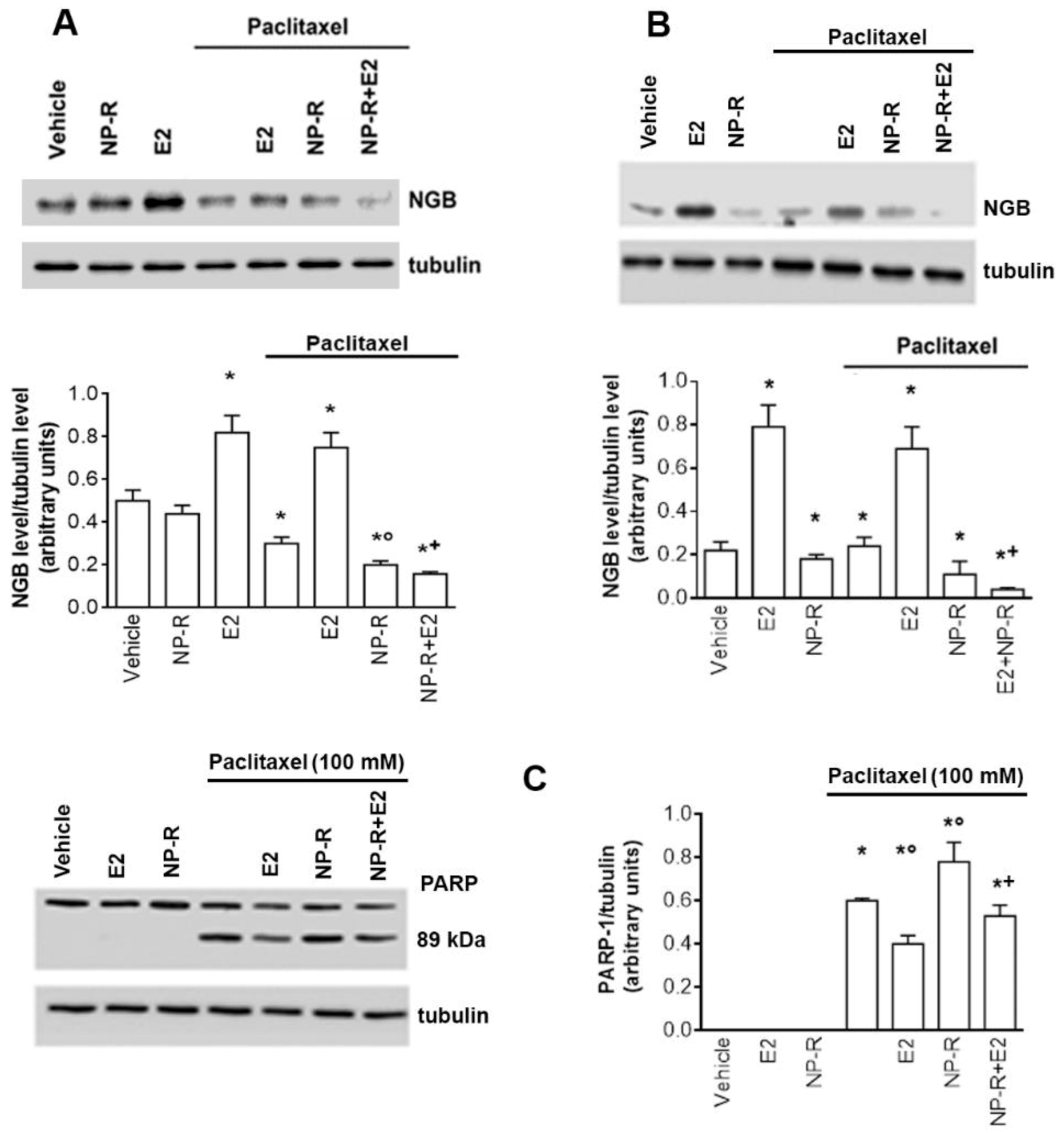 IJMS Free FullText Resveratrol Analogs and Prodrugs Differently