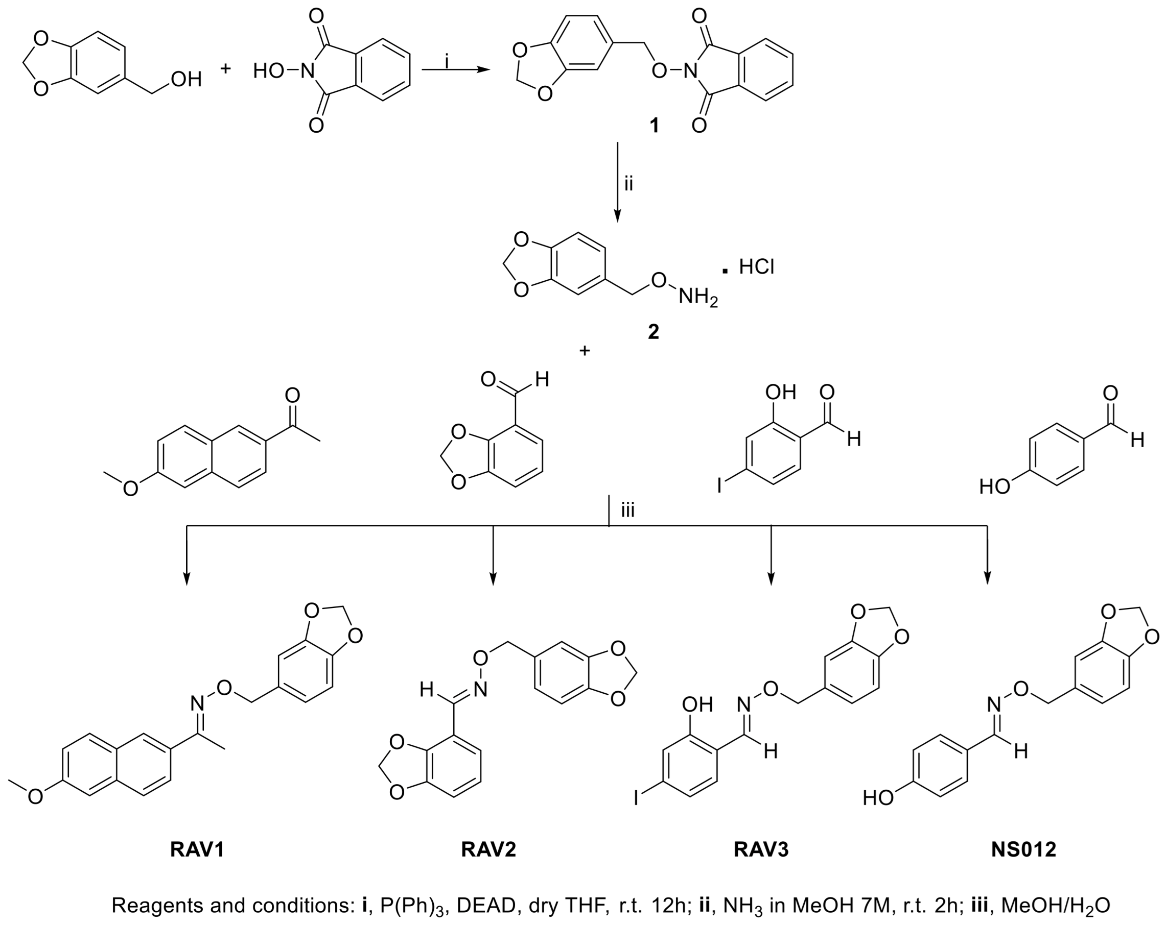 IJMS Free FullText Resveratrol Analogs and Prodrugs Differently