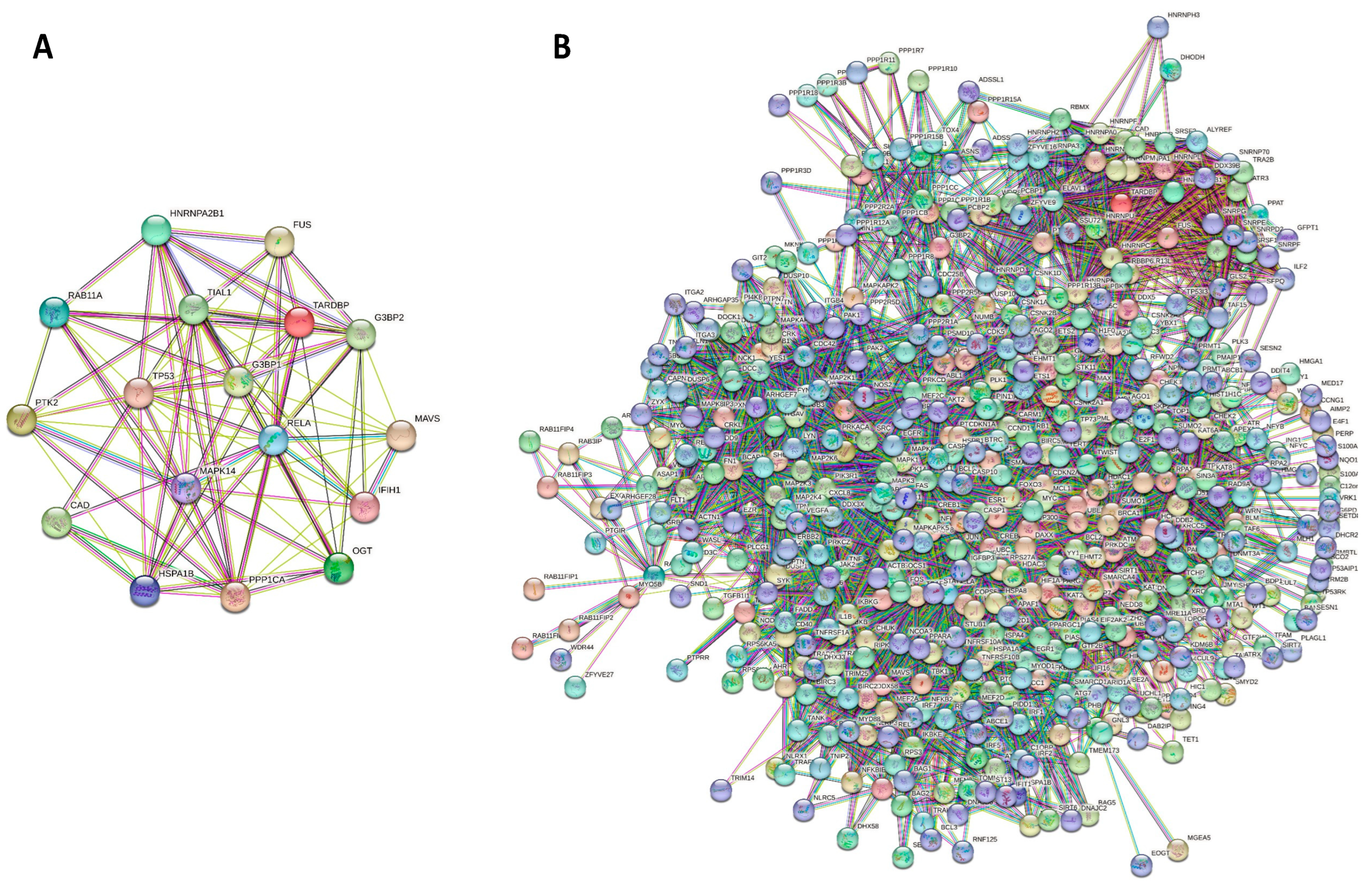 Ijms 24 02151 g005 Ijms 24 02151 g005