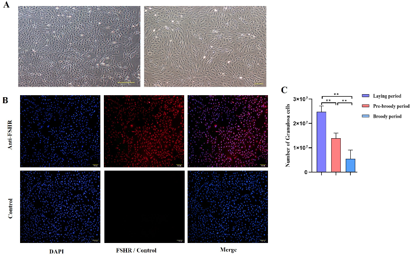 Ijms 24 02154 g002 Ijms 24 02154 g002