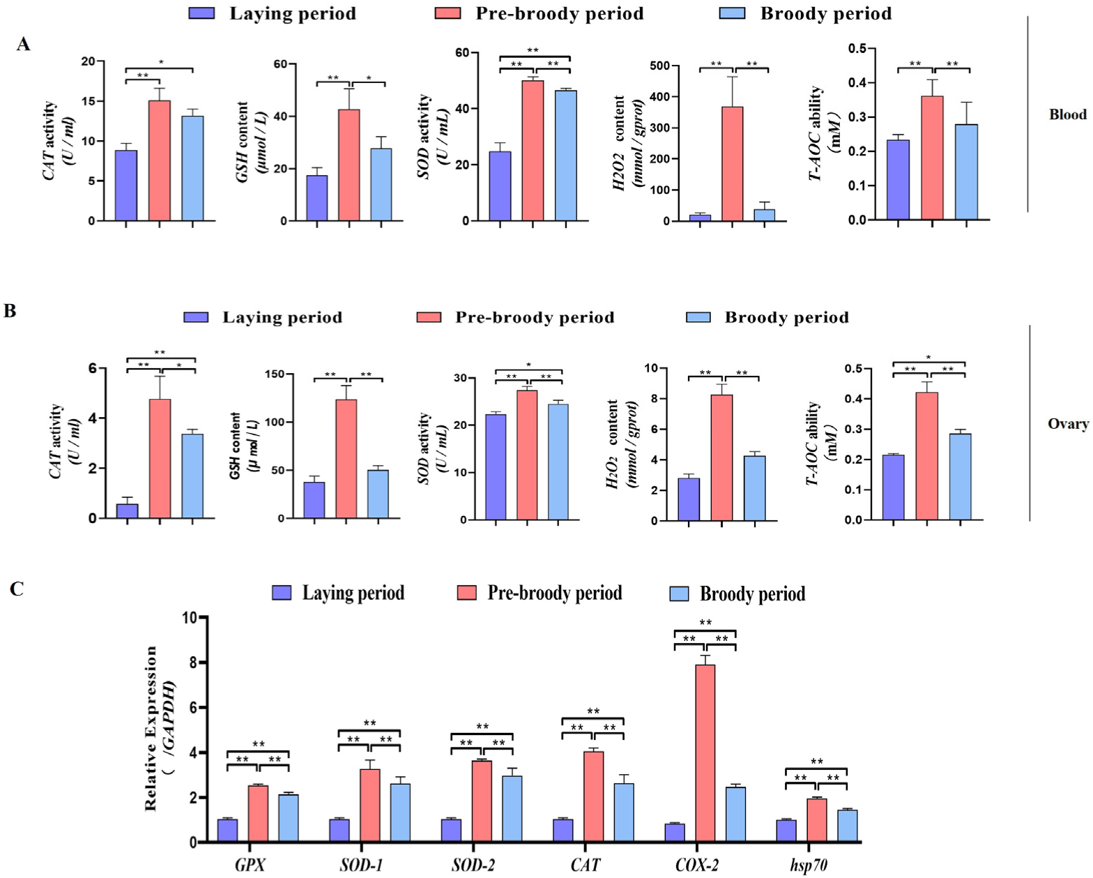 Ijms 24 02154 g003 Ijms 24 02154 g003