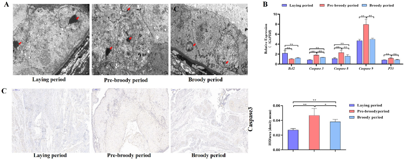 Ijms 24 02154 g005 Ijms 24 02154 g005