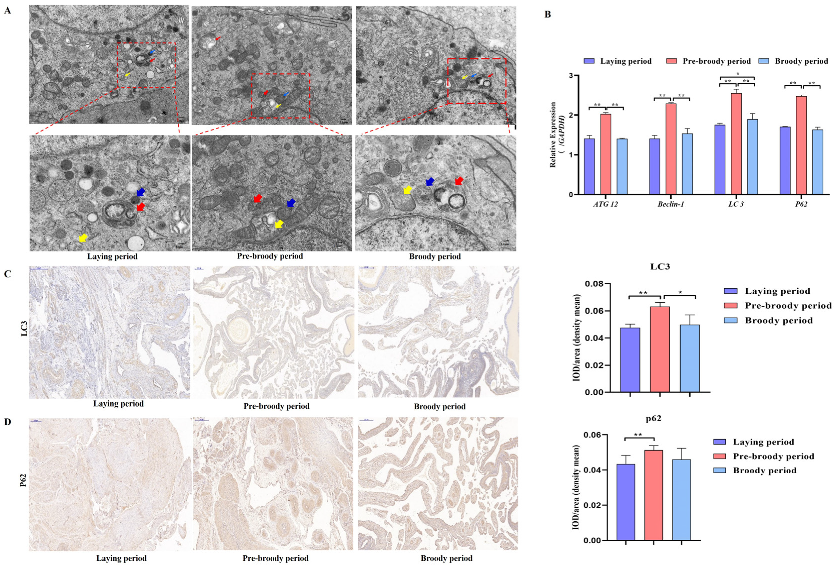 Ijms 24 02154 g006 Ijms 24 02154 g006