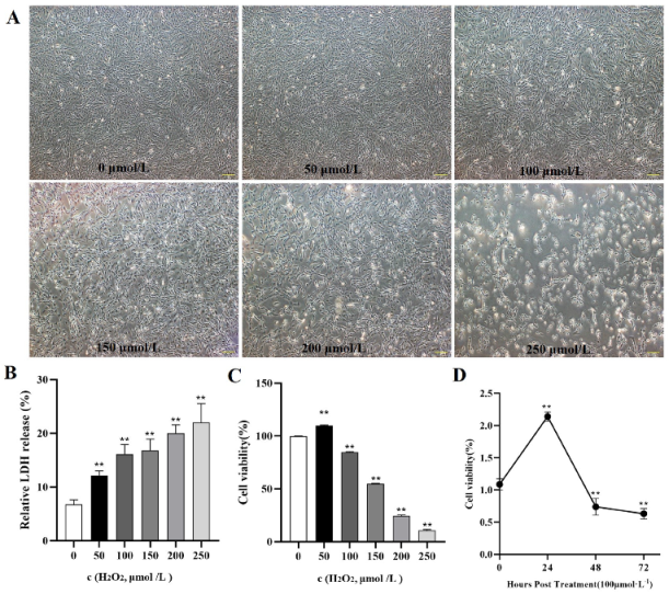 Ijms 24 02154 g007 Ijms 24 02154 g007