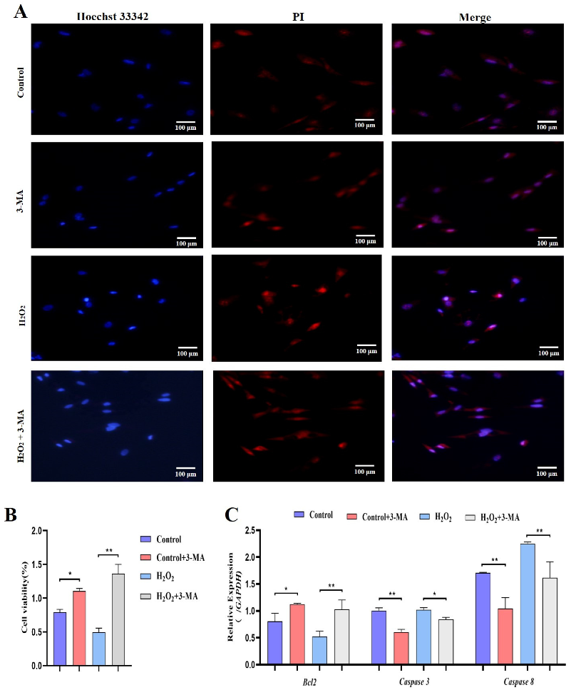 Ijms 24 02154 g010 Ijms 24 02154 g010