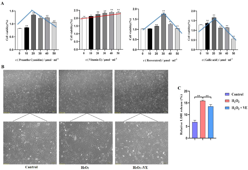 Ijms 24 02154 g011 Ijms 24 02154 g011