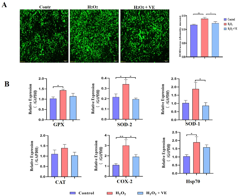 Ijms 24 02154 g012 Ijms 24 02154 g012