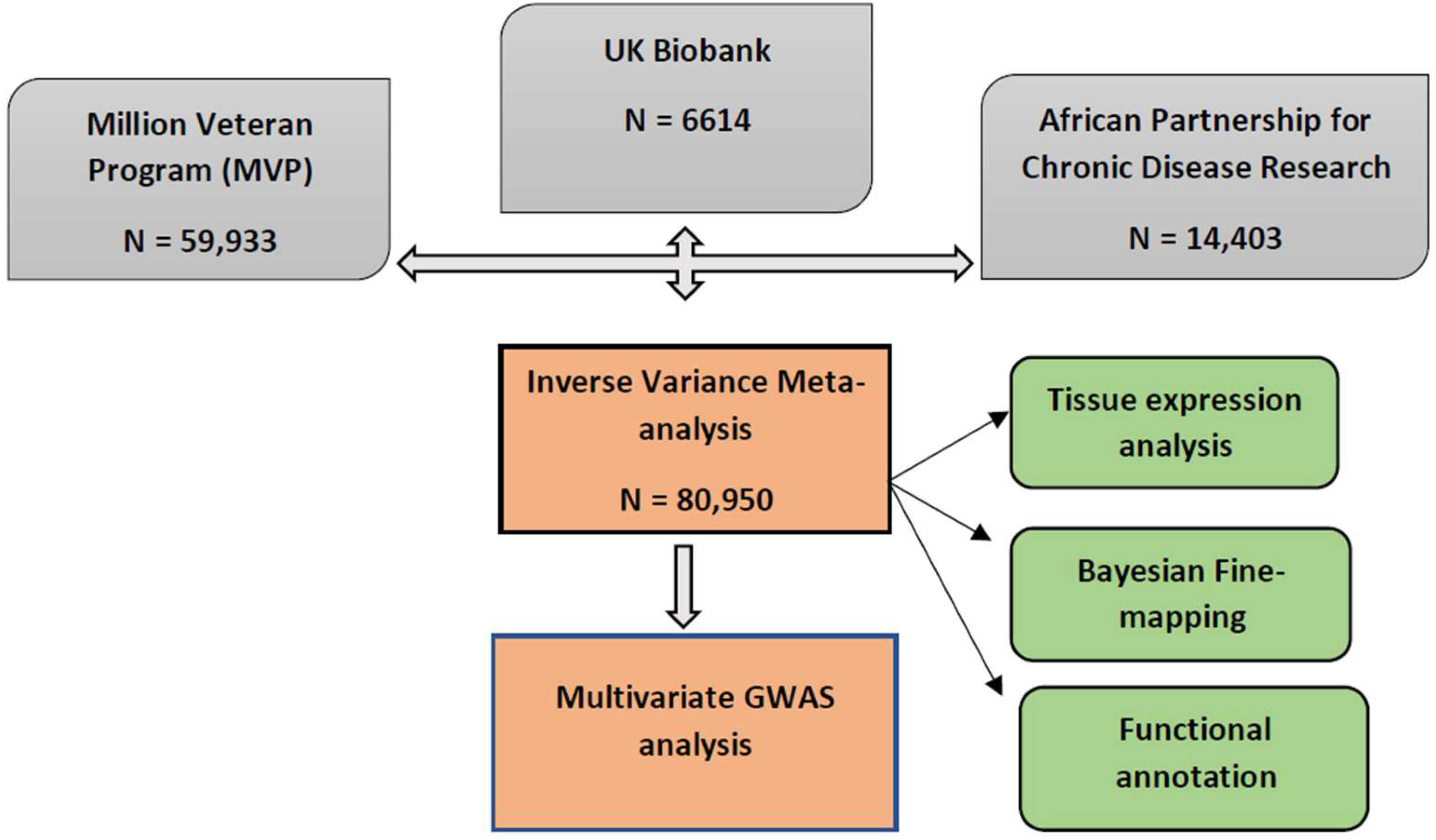 Ijms 24 02164 g001 Ijms 24 02164 g001