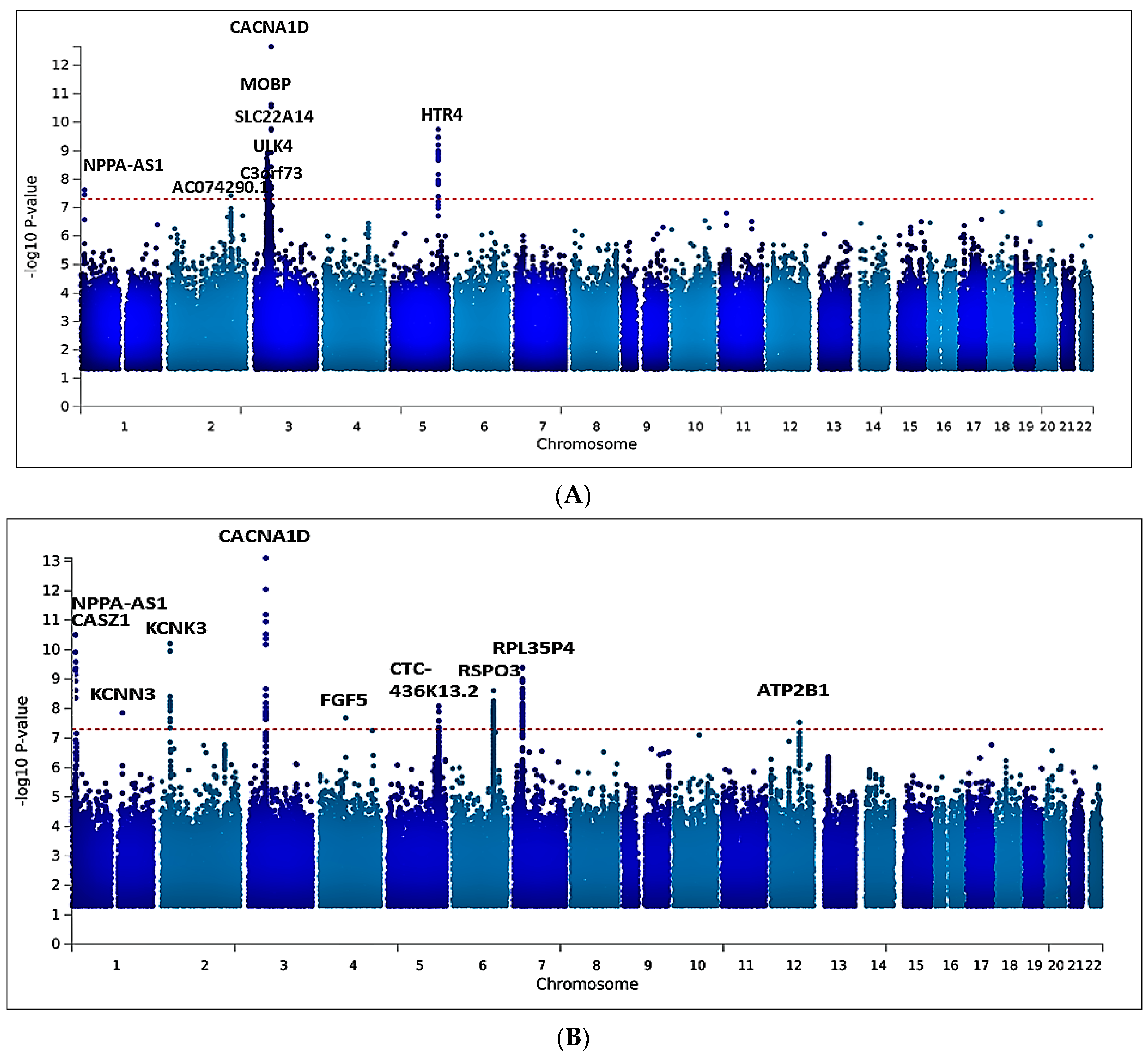 Ijms 24 02164 g002 Ijms 24 02164 g002