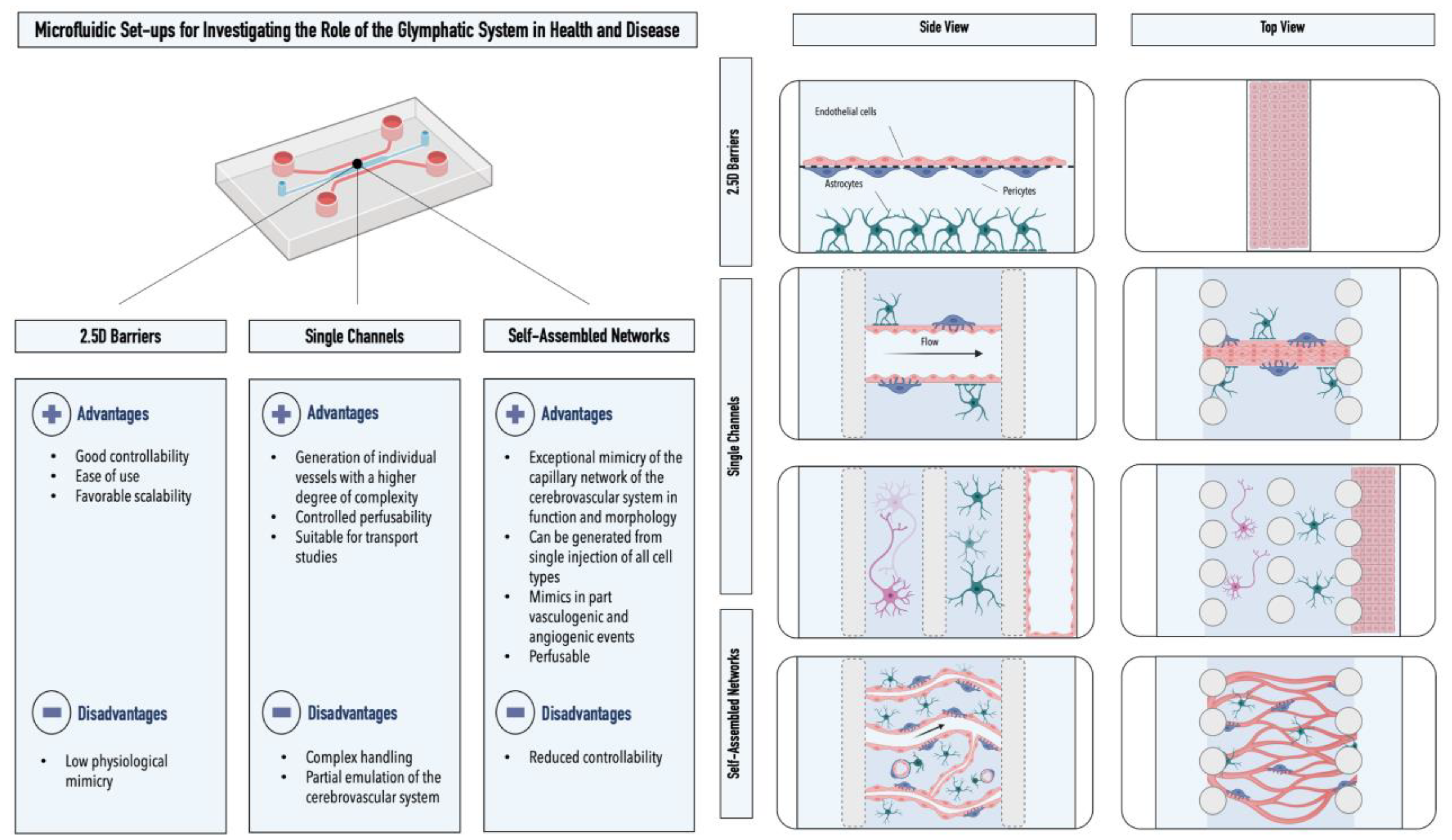 Ijms 24 02171 g003 Ijms 24 02171 g003