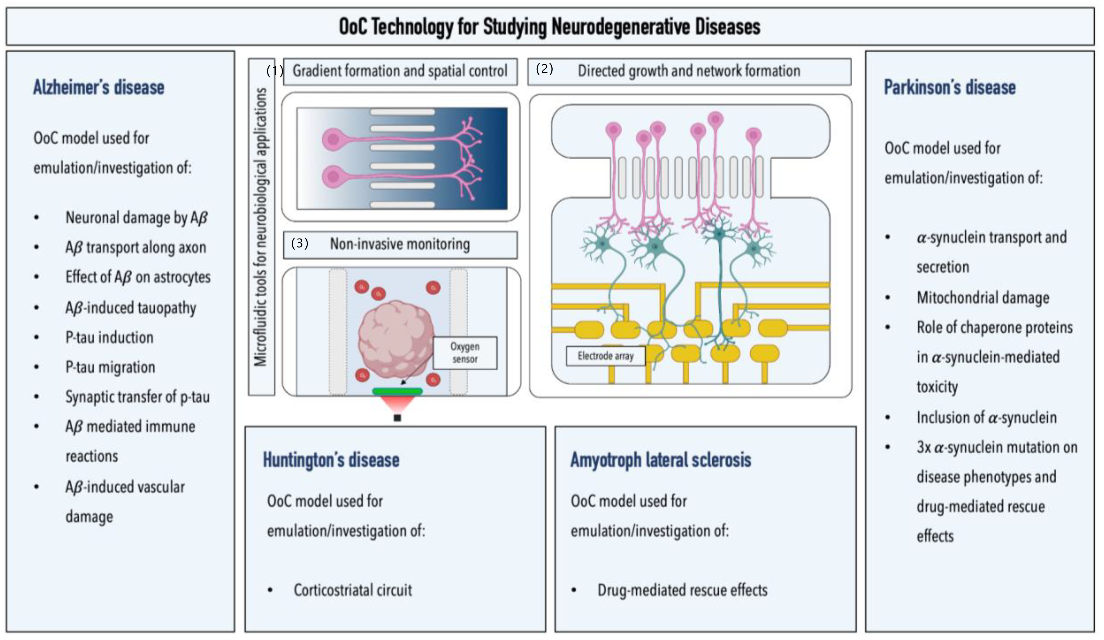 Ijms 24 02171 g004 Ijms 24 02171 g004