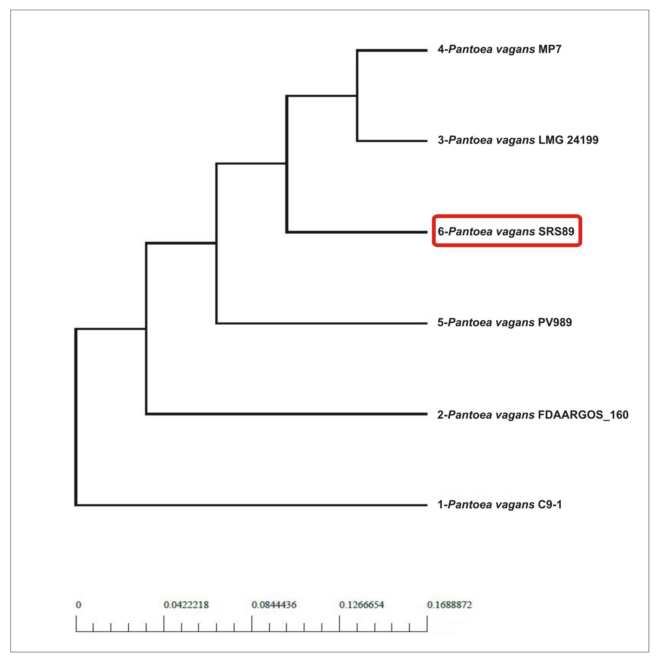 Ijms 24 02174 g004 Ijms 24 02174 g004