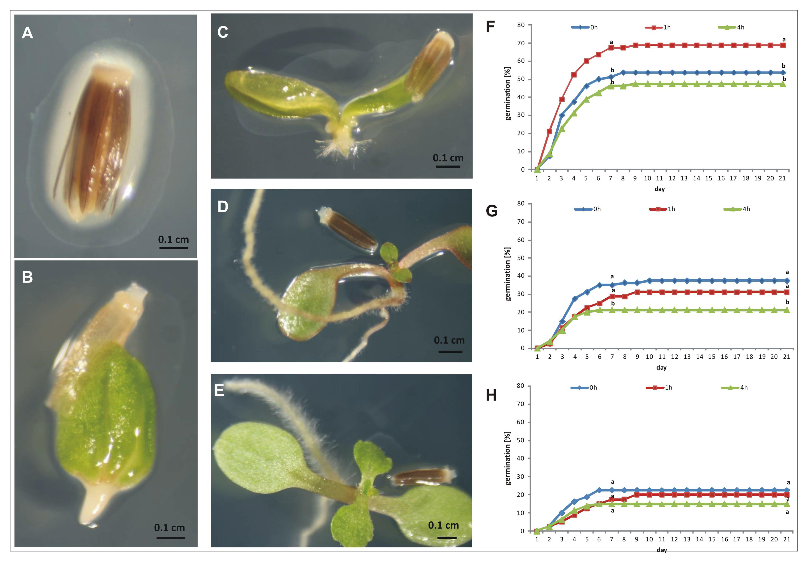 Ijms 24 02174 g007 Ijms 24 02174 g007