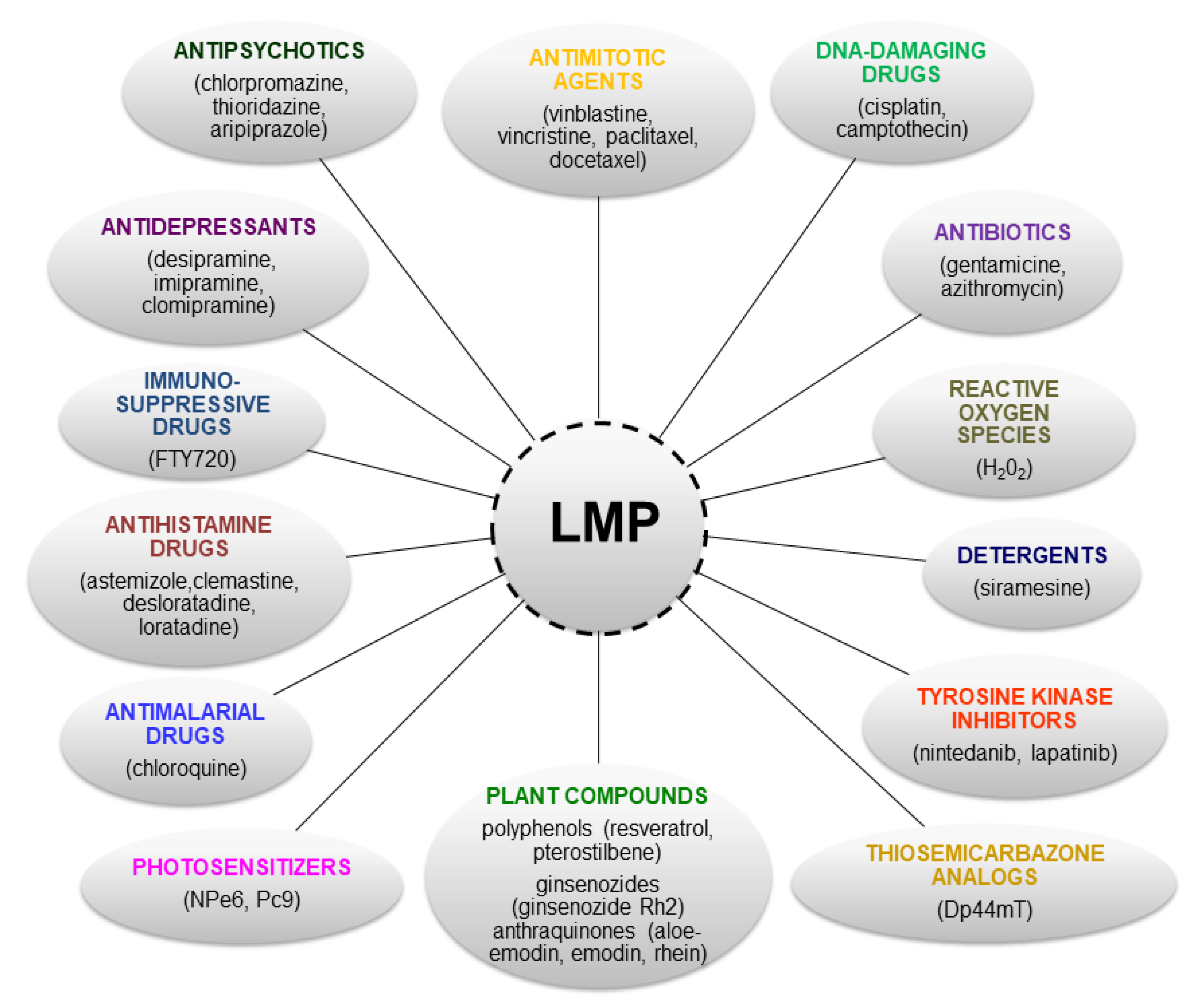 Lysosomes as a Target of Anticancer Therapy