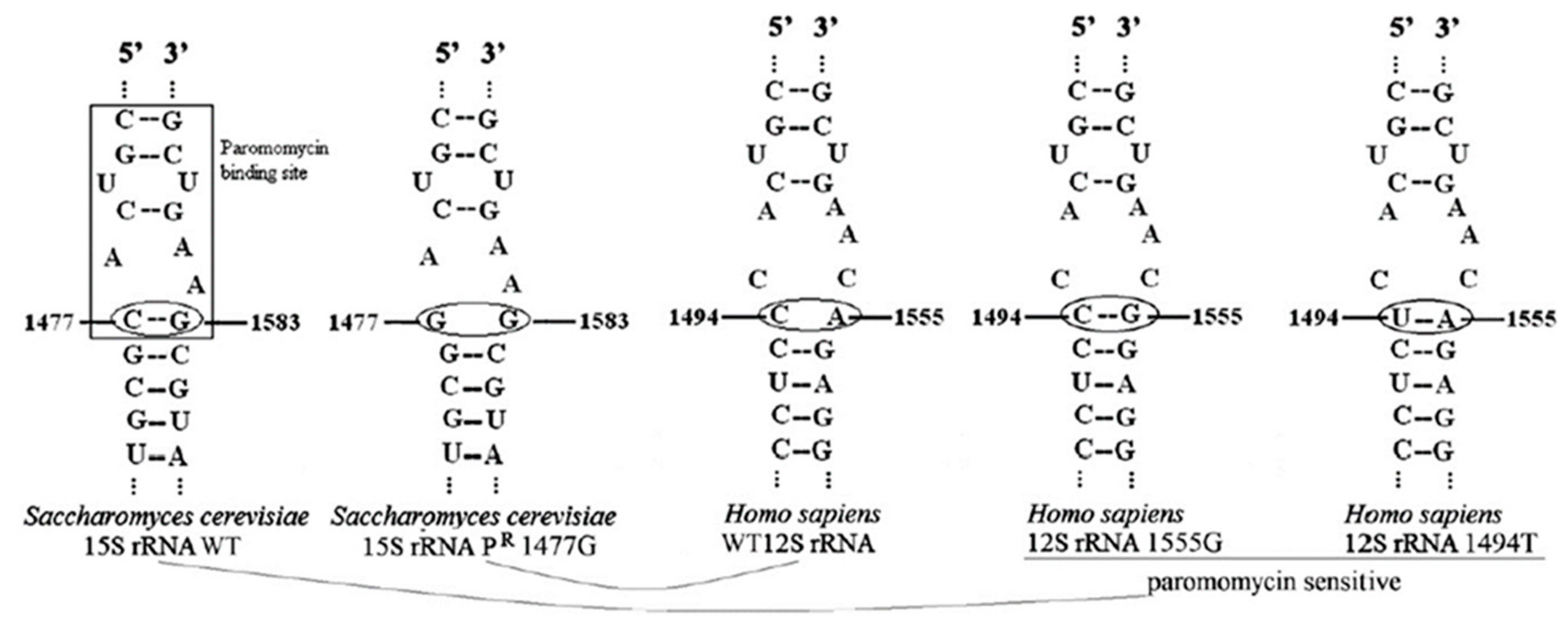 Ijms 24 02178 g001 Ijms 24 02178 g001