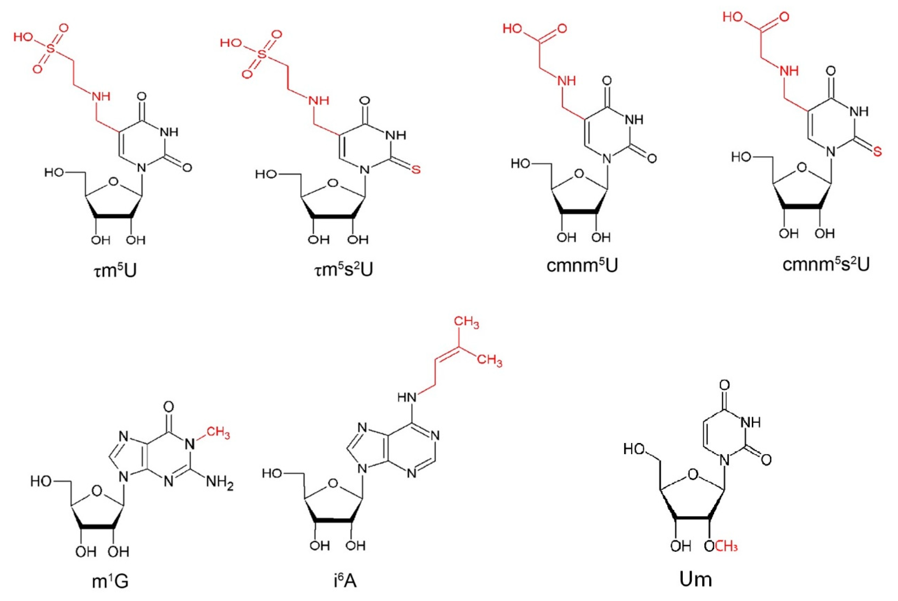 Ijms 24 02178 g002 Ijms 24 02178 g002