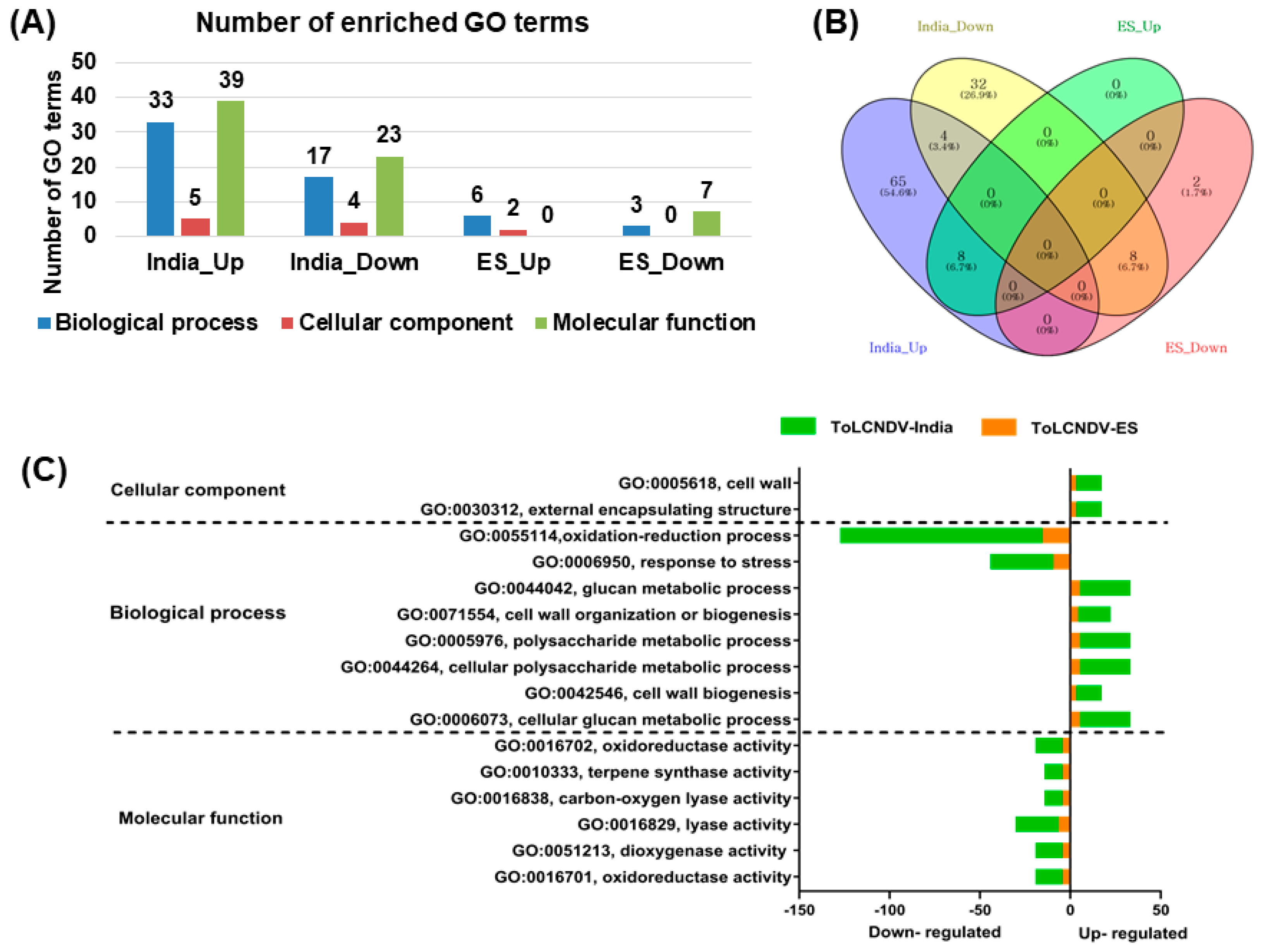 Ijms 24 02181 g006 Ijms 24 02181 g006