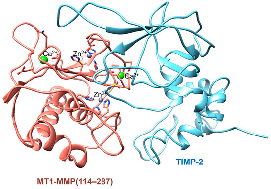 The Role of Membrane-Type 1 Matrix Metalloproteinase–Substrate ...